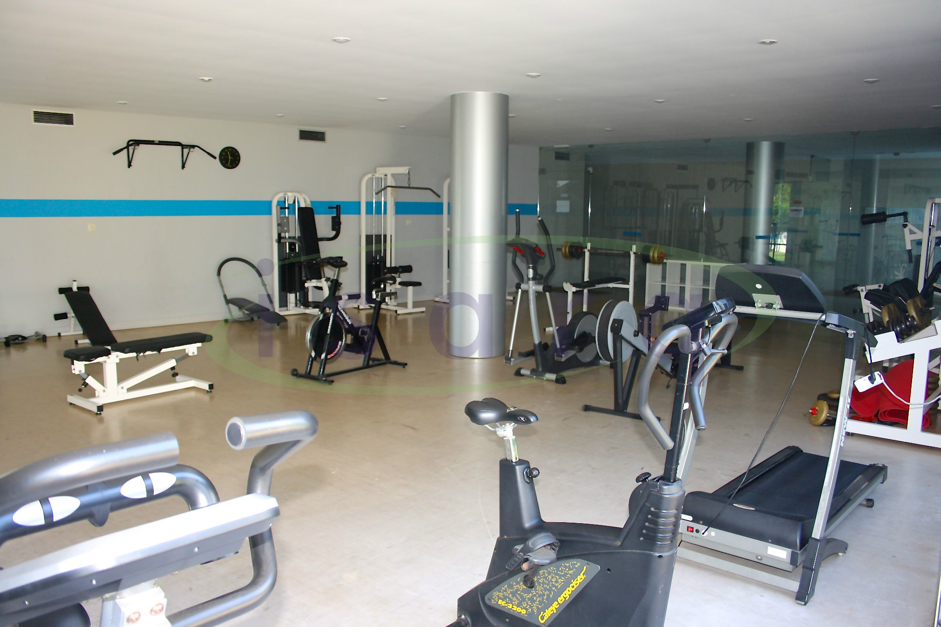 Gimnasio