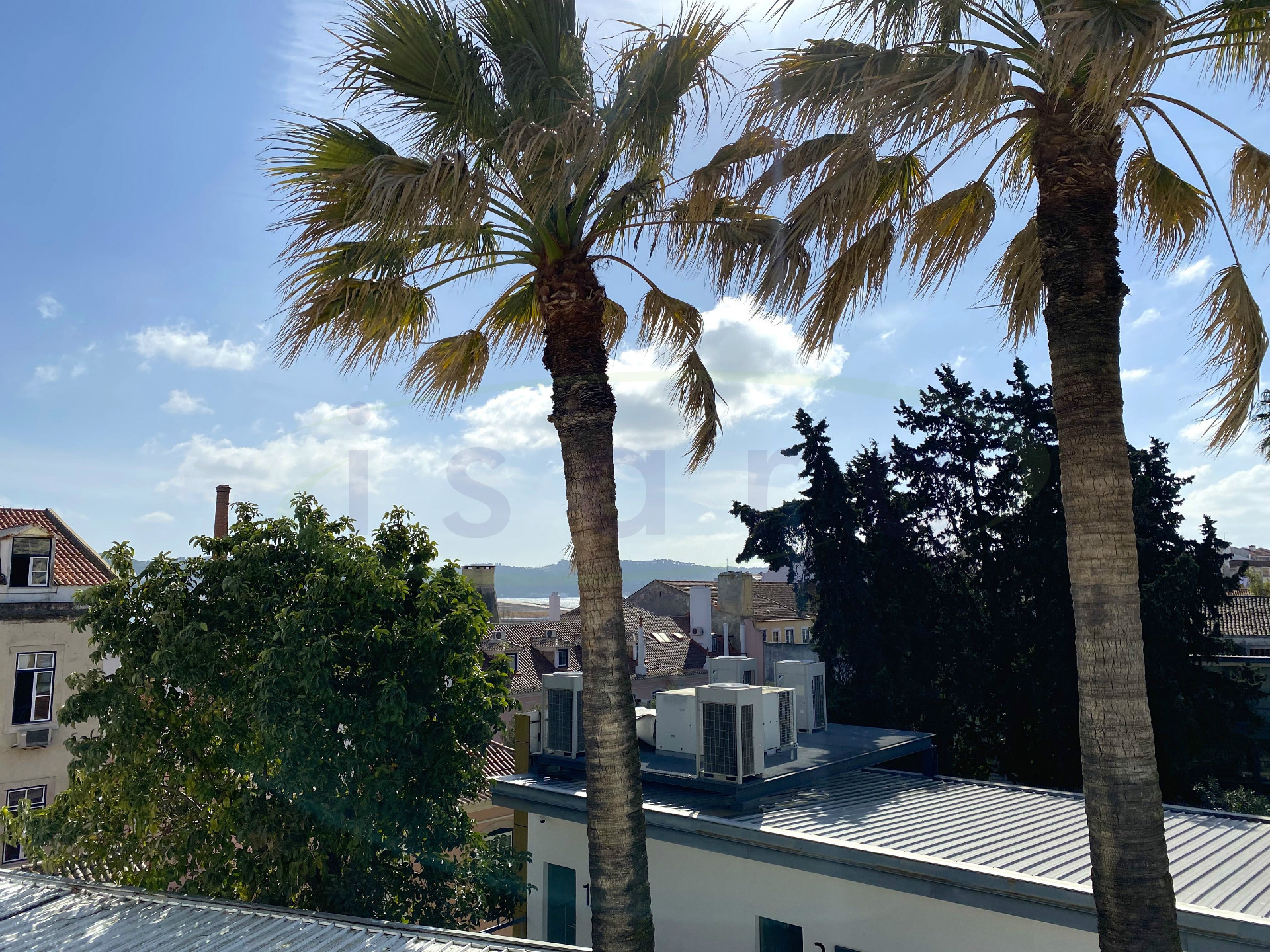 Appartamento 5 Vani DUPLEX