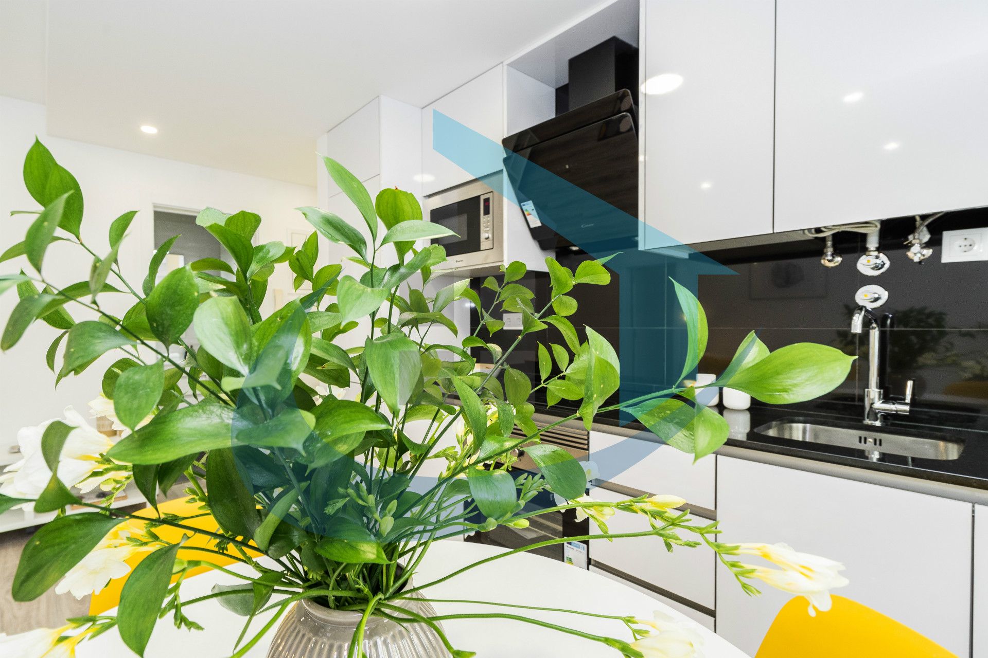 Appartement 1 Chambre(s)