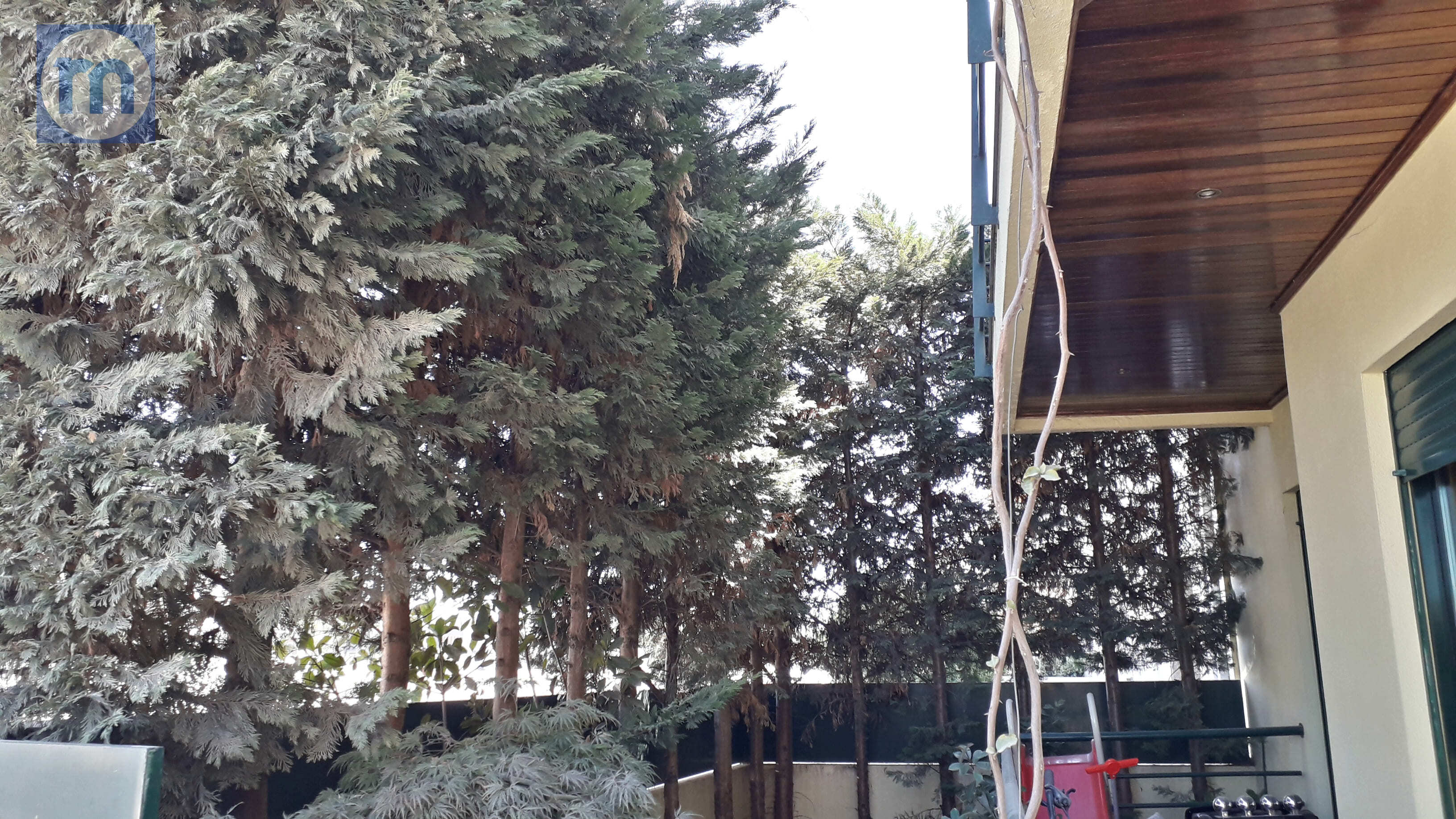 Casa a schiera 5 Vani