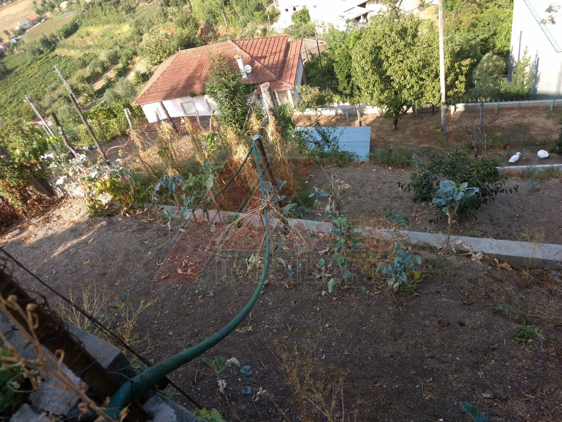 Huis 3 kamerwoning + 2