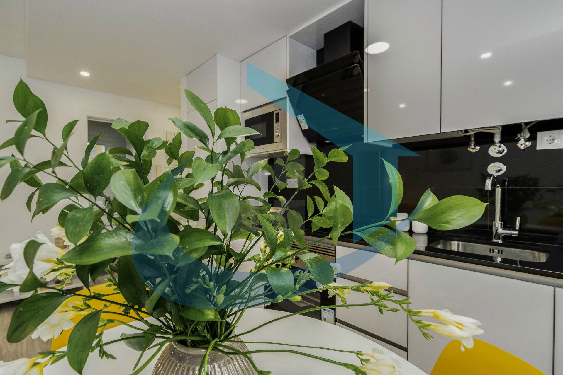 Appartement 1 Chambre(s)