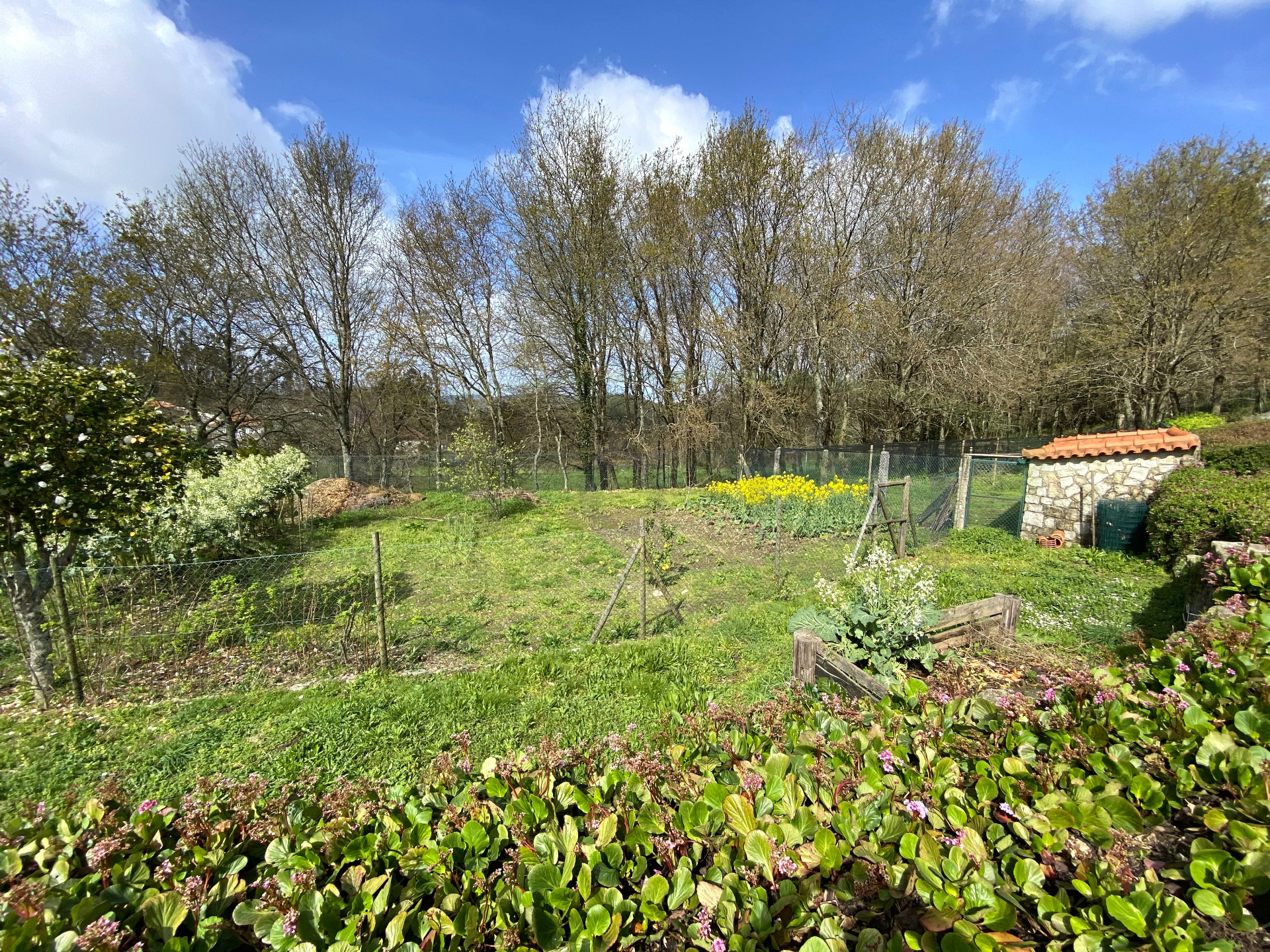 Rural Tourism Farm plot on the Caminho de Santiago