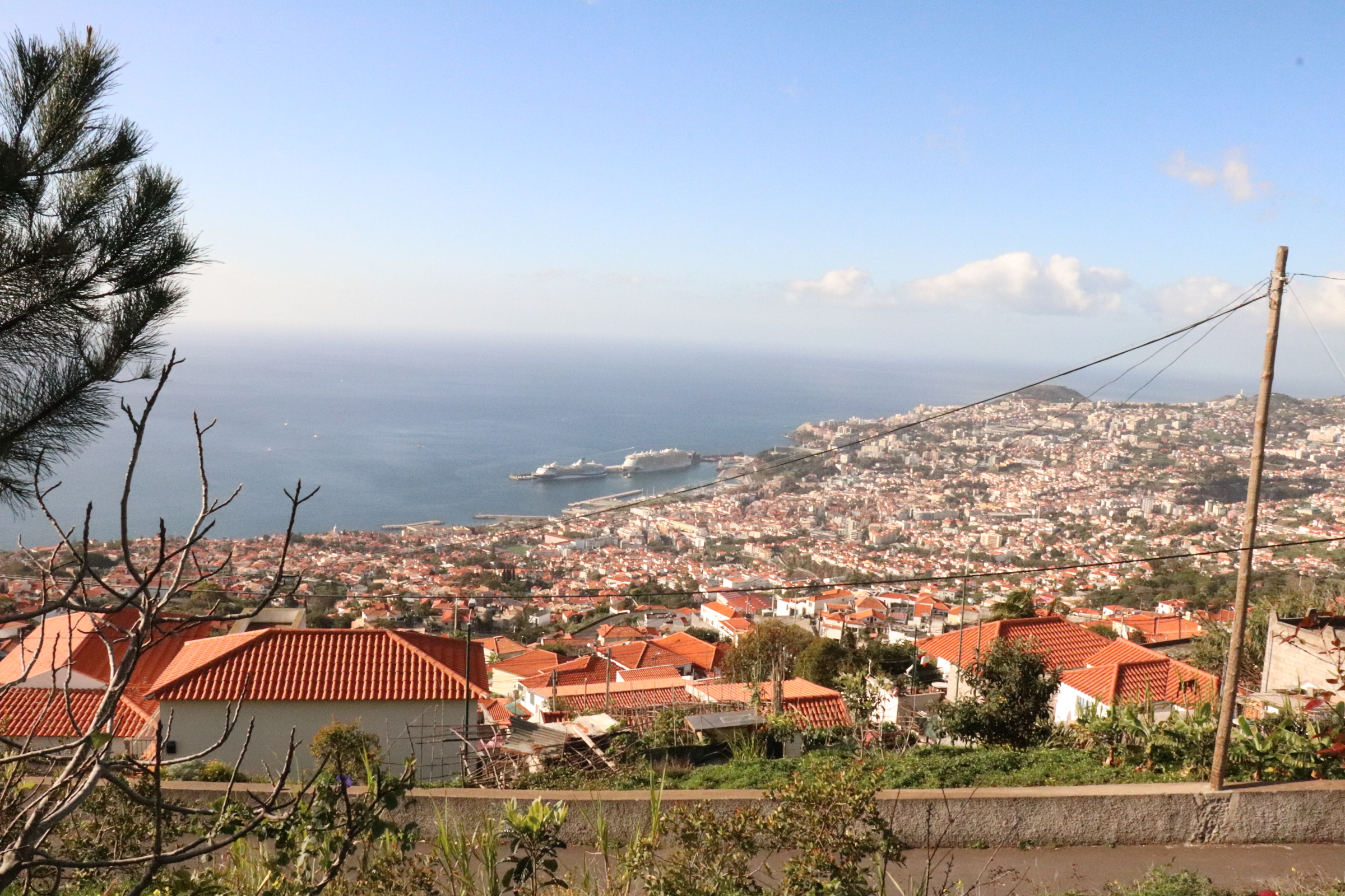 Lotissement de terrain