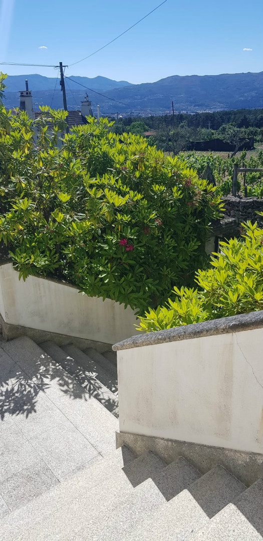 Guest House Brasonada com Yield Bruta de 9% (projectada)