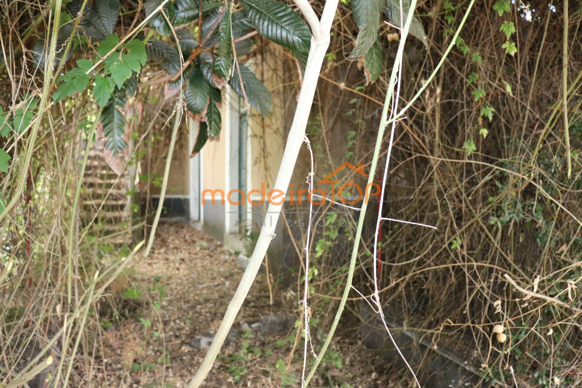 vivienda Desocupada 3 habitaciones