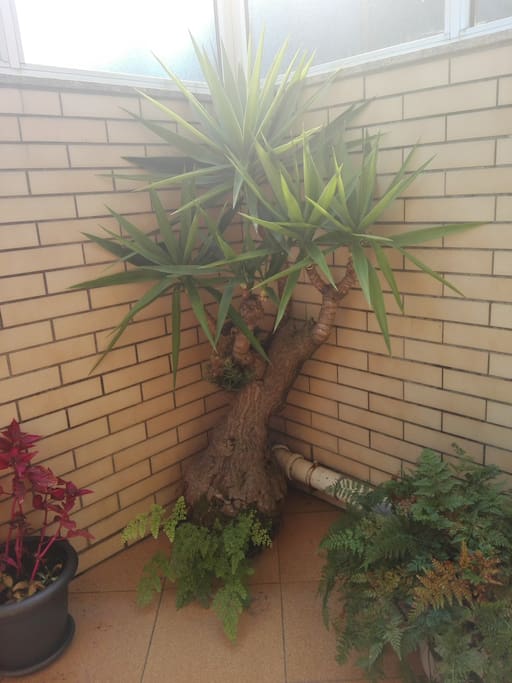 Apartamento T1 com Terraço - Excelente Investimento!