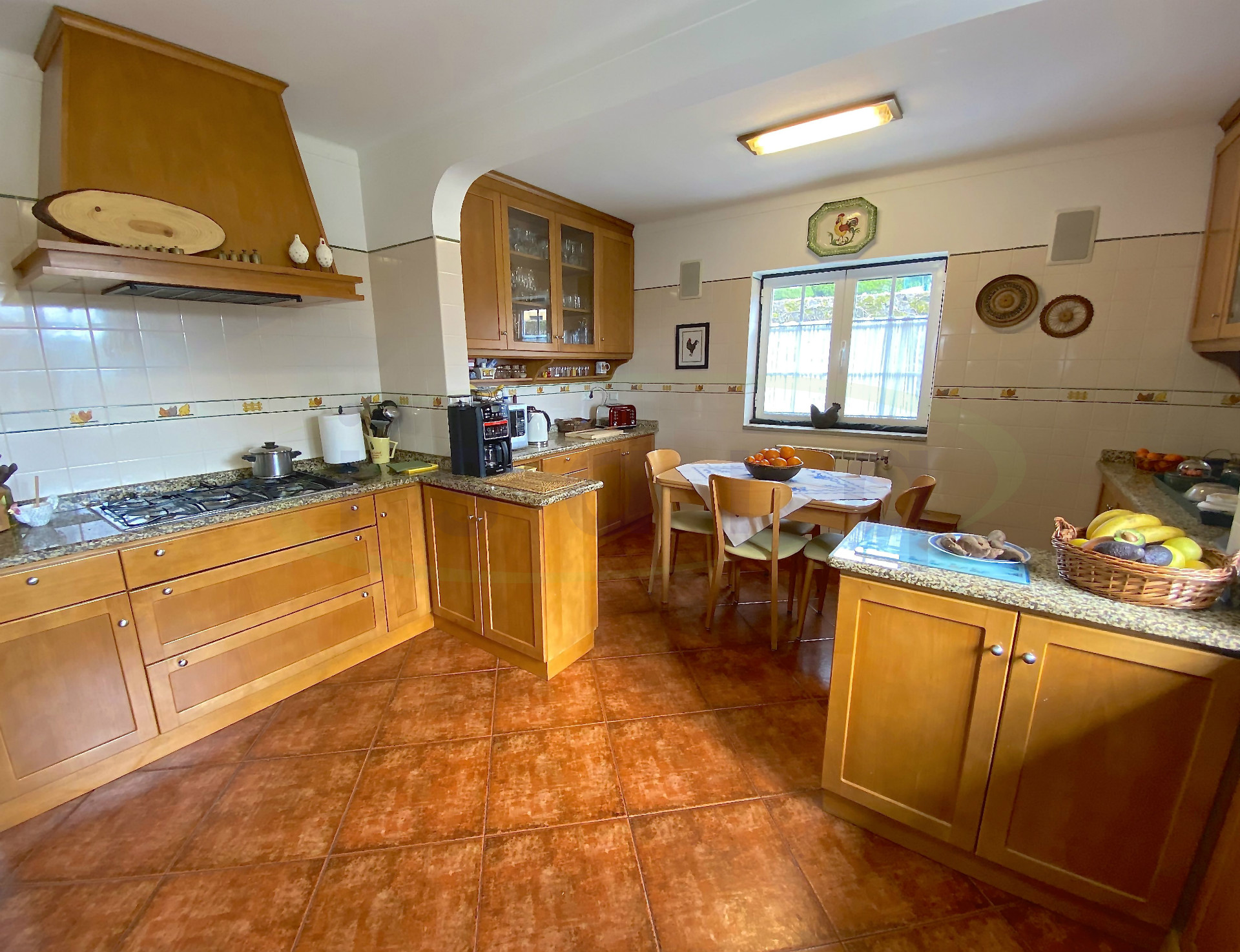 Rural Tourism Farm plot on the Caminho de Santiago