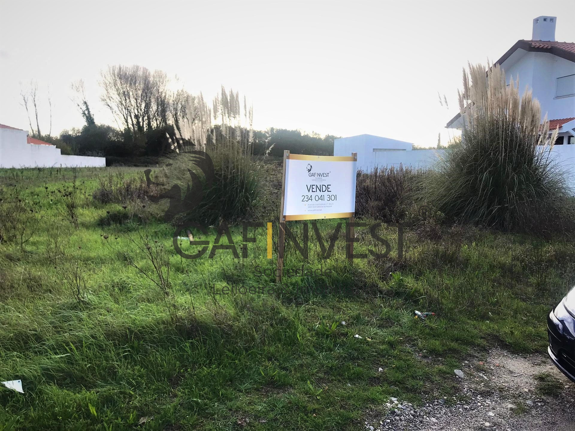 Real Estate building