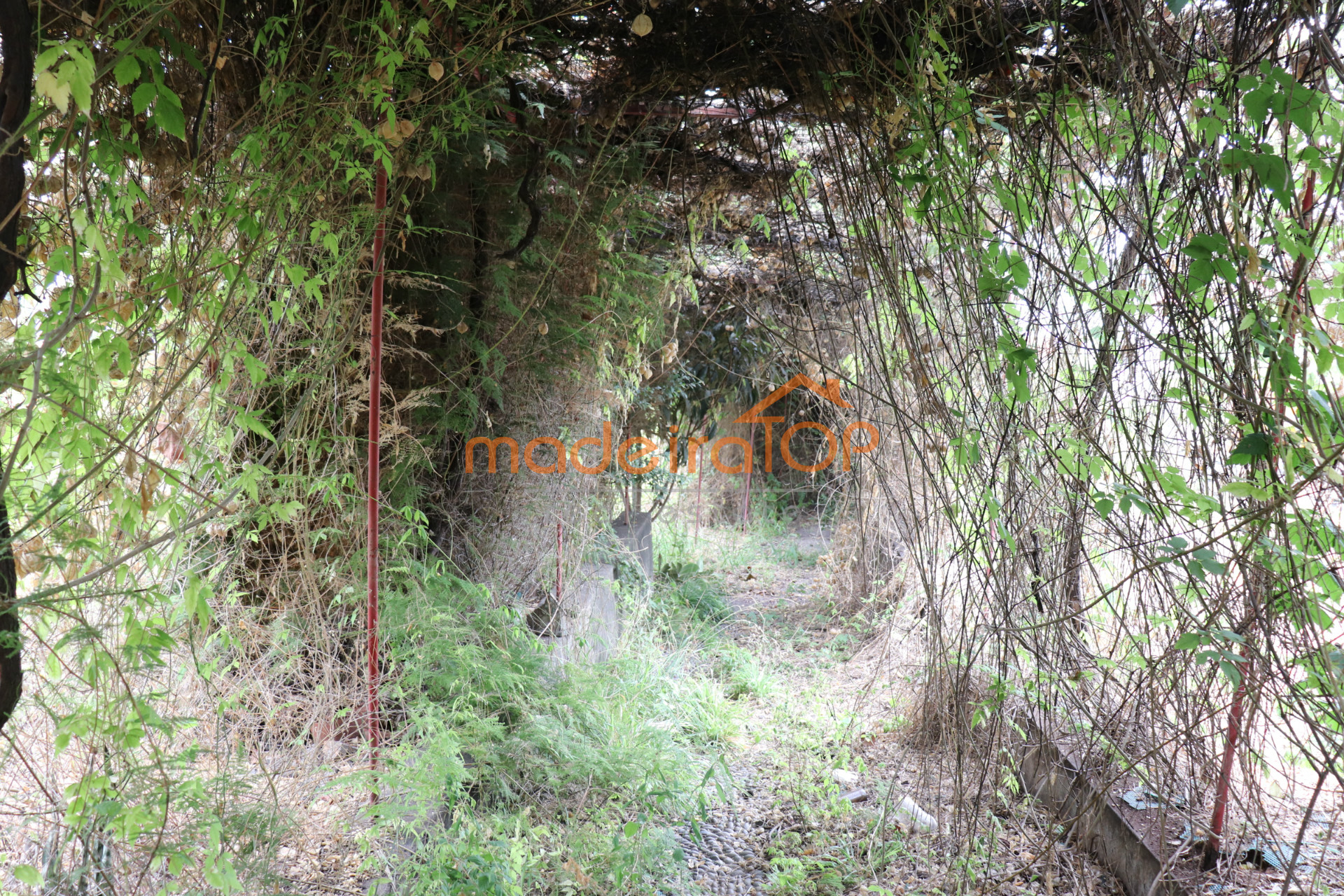 vivienda Desocupada 3 habitaciones