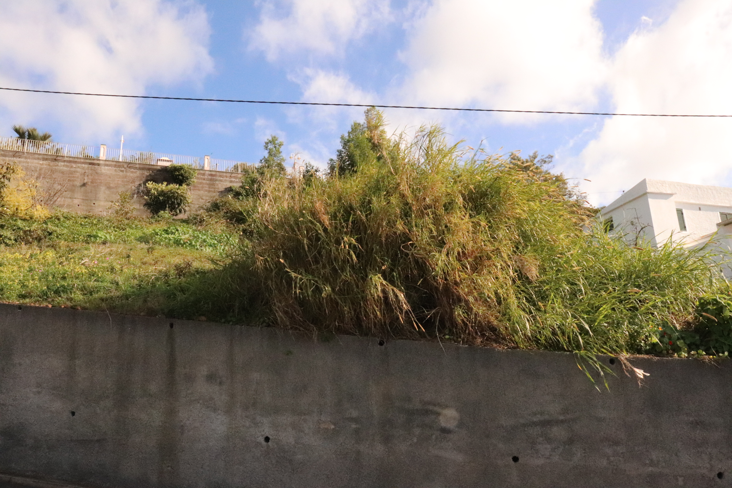 Lotissement de terrain