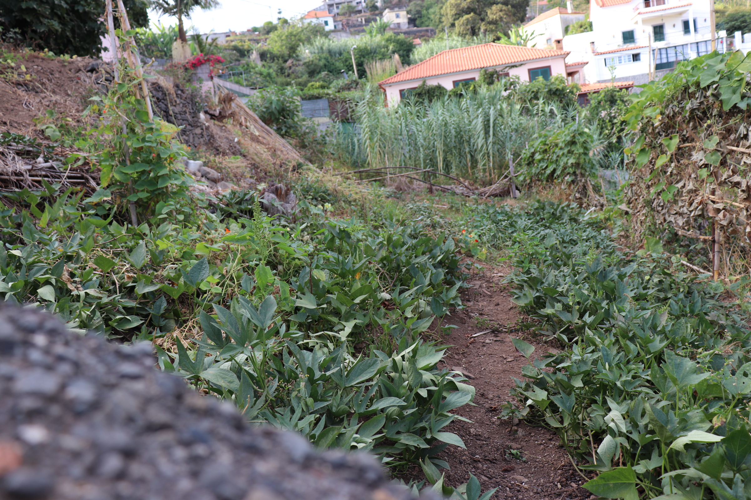 Piece of Real Estate