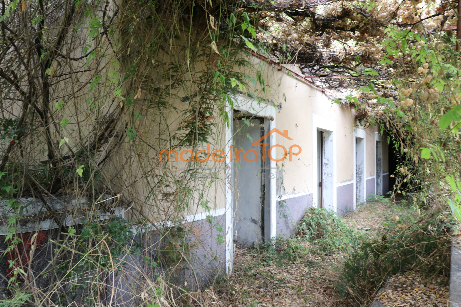 vivienda Desocupada 3 habitaciones