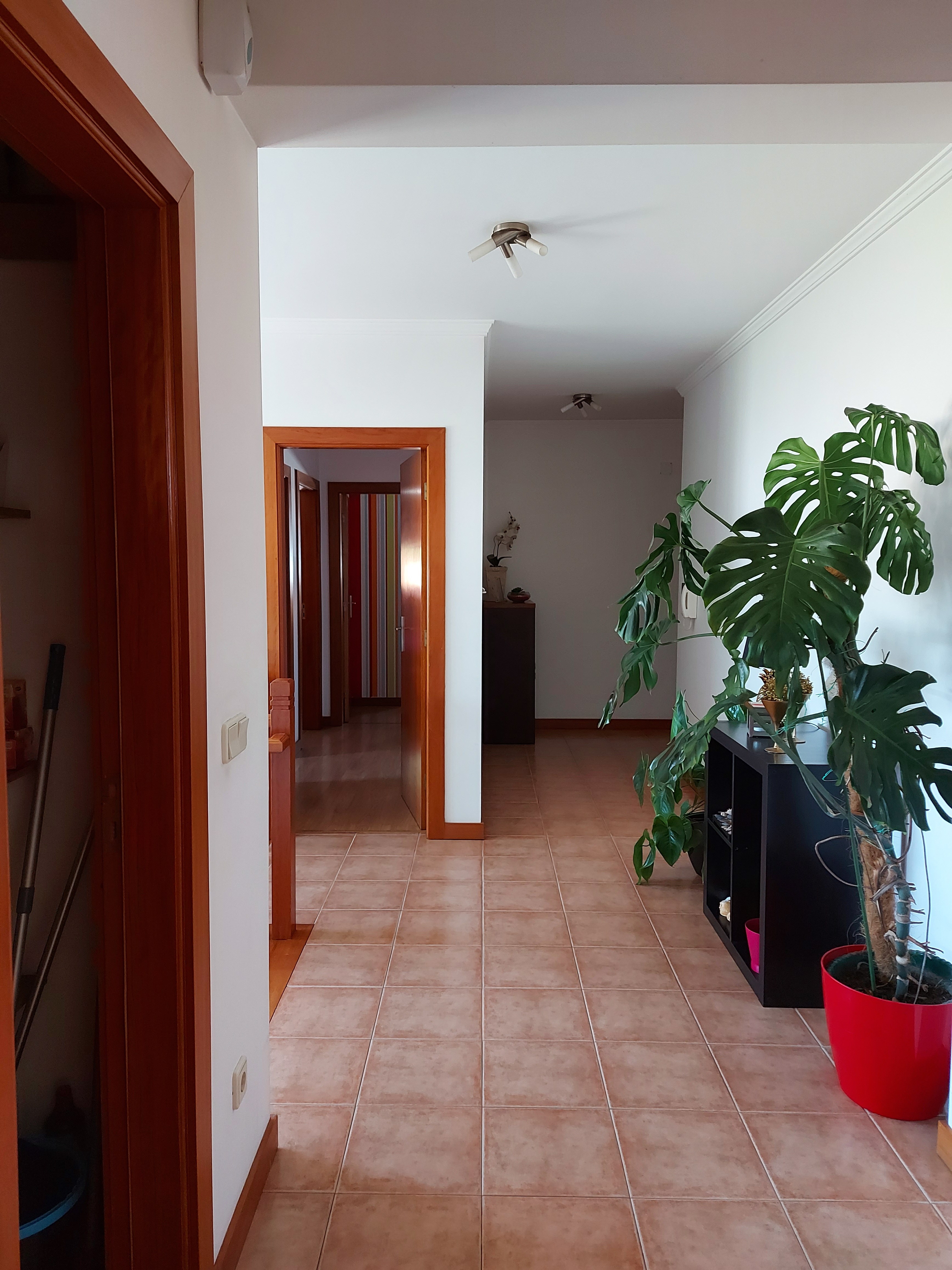 Appartement T3 Implex