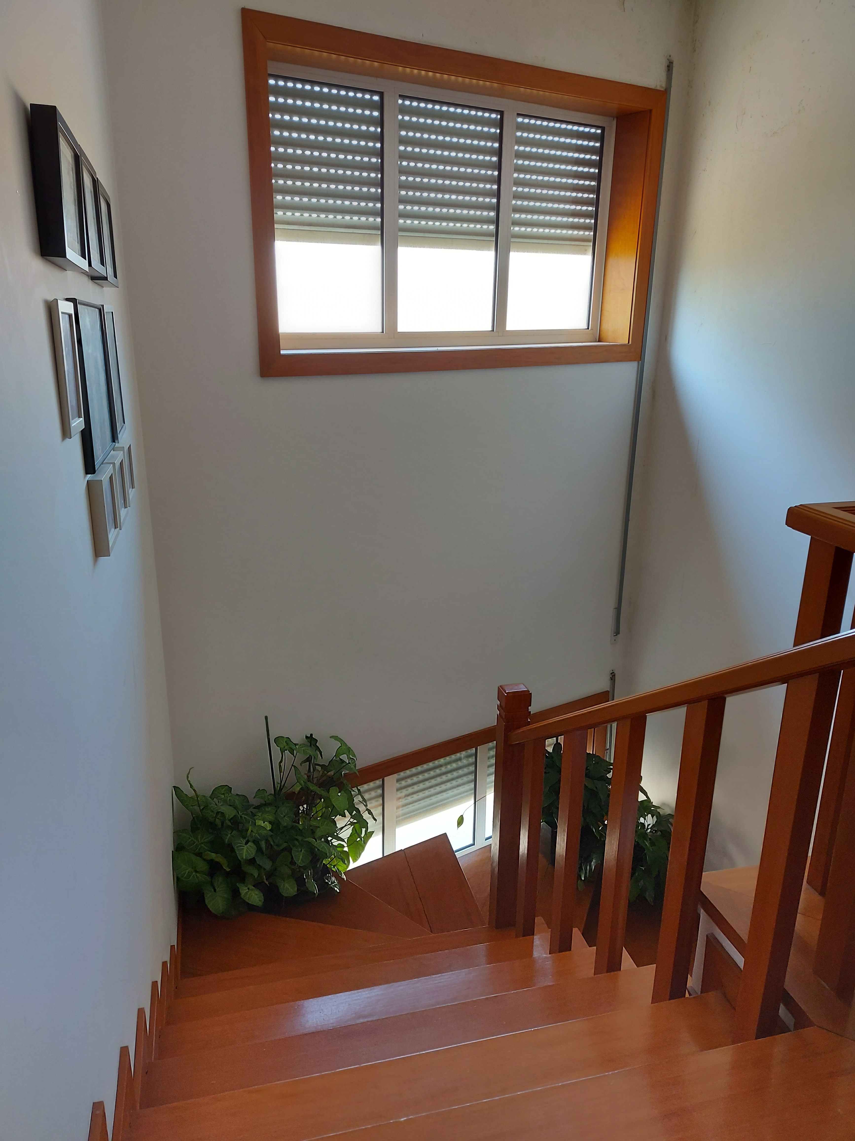 Appartement T3 Implex