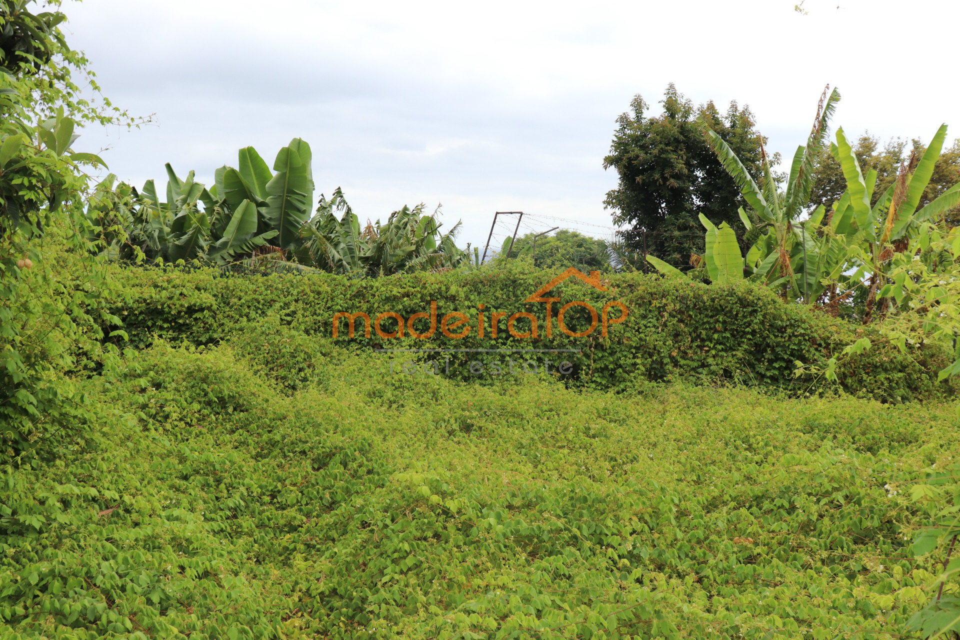 vivienda Desocupada 3 habitaciones