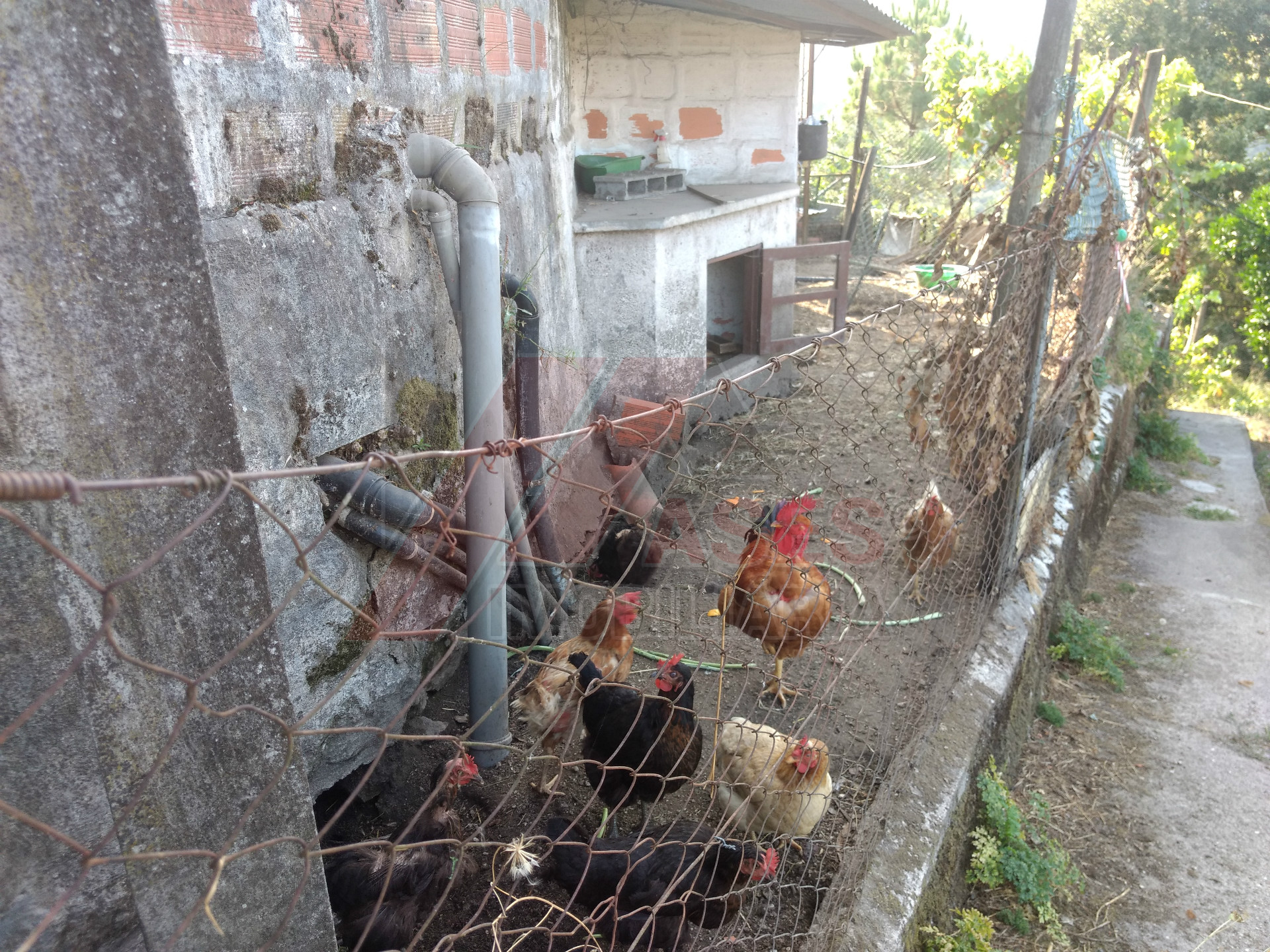 Huis 3 kamerwoning + 2