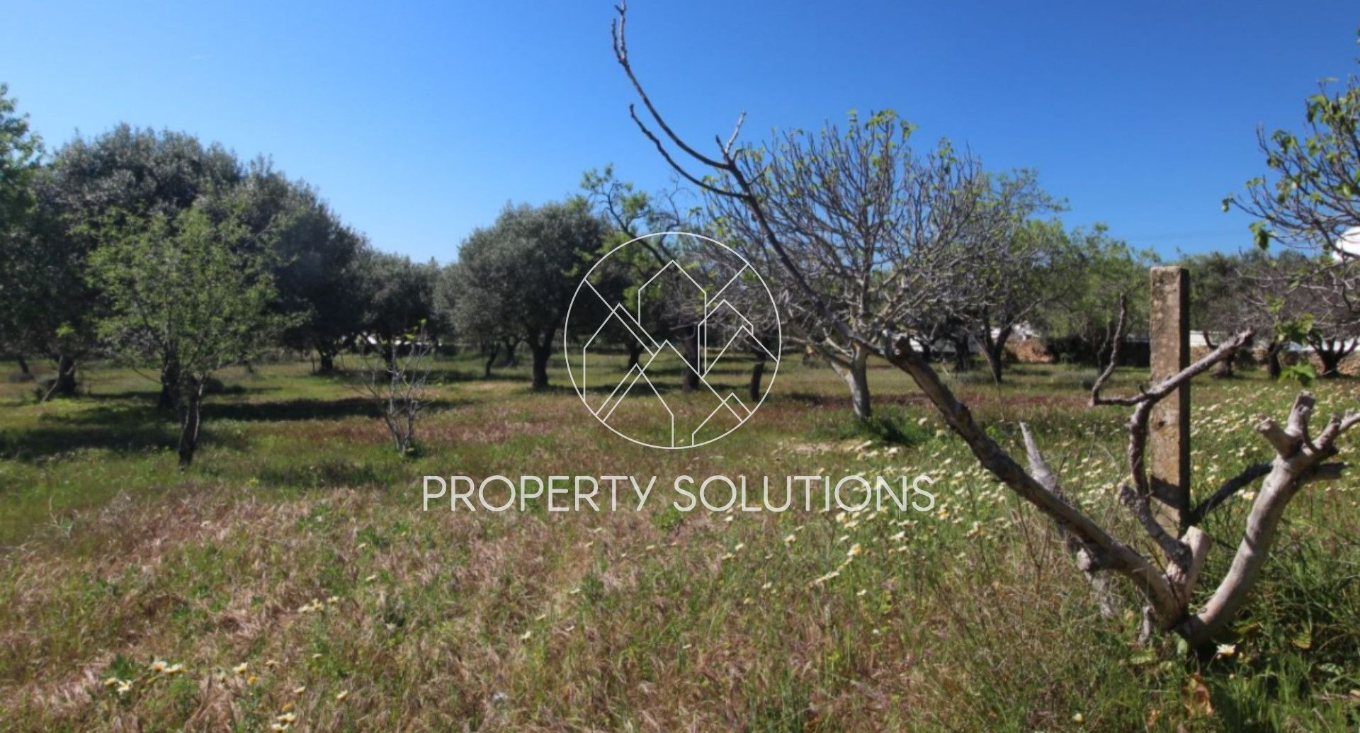 Fattoria / Cascina / Casale 3 Vani