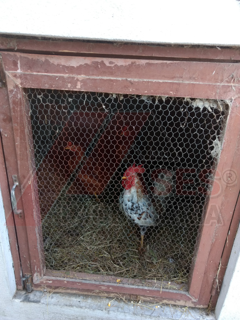 Huis 3 kamerwoning + 2