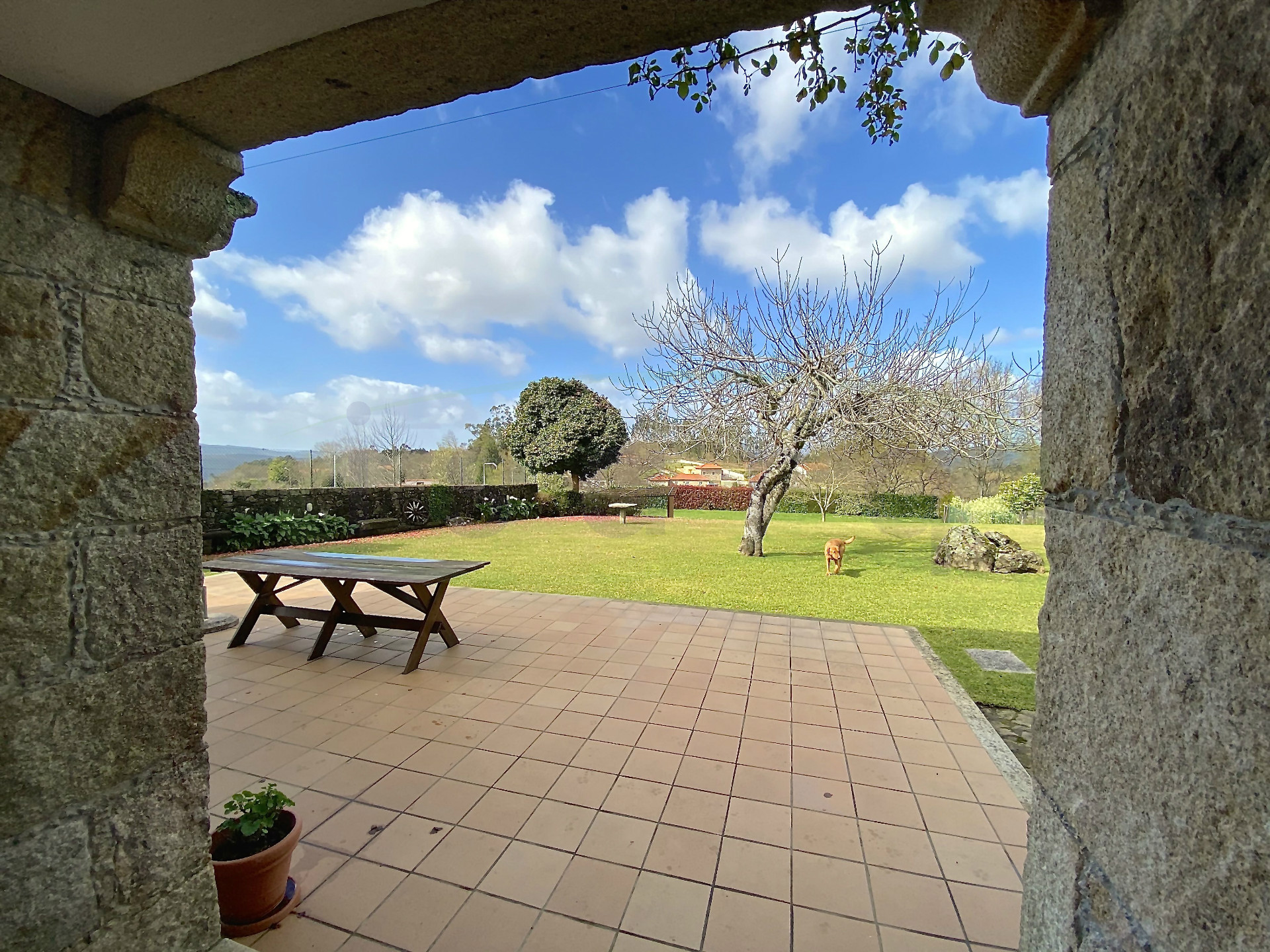 Rural Tourism Farm plot on the Caminho de Santiago