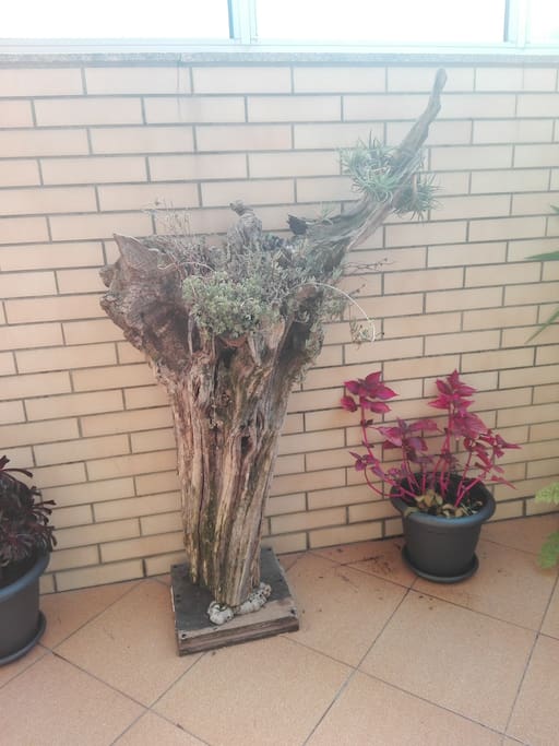 Apartamento T1 com Terraço - Excelente Investimento!