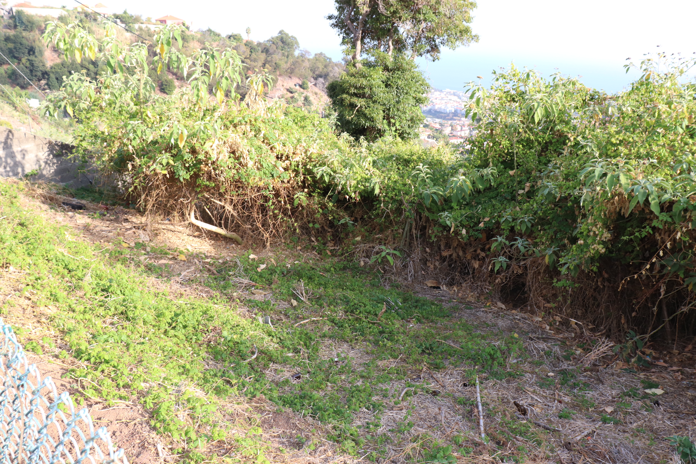 Piece of Real Estate