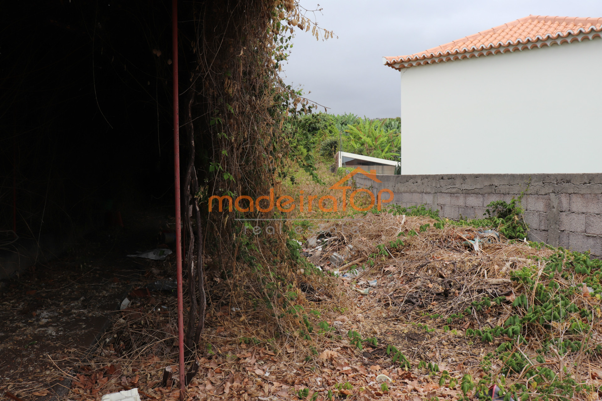 vivienda Desocupada 3 habitaciones