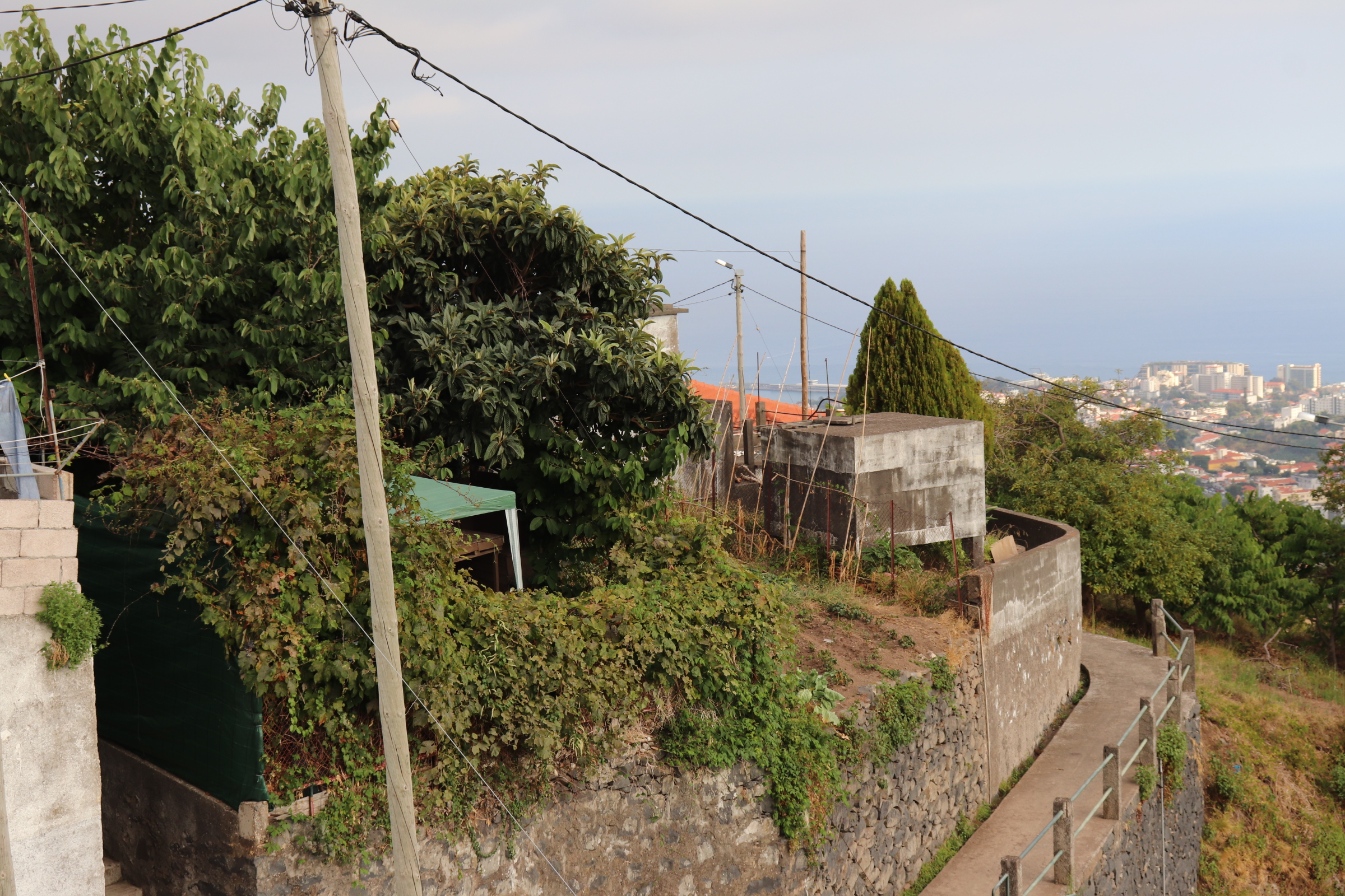 Piece of Real Estate