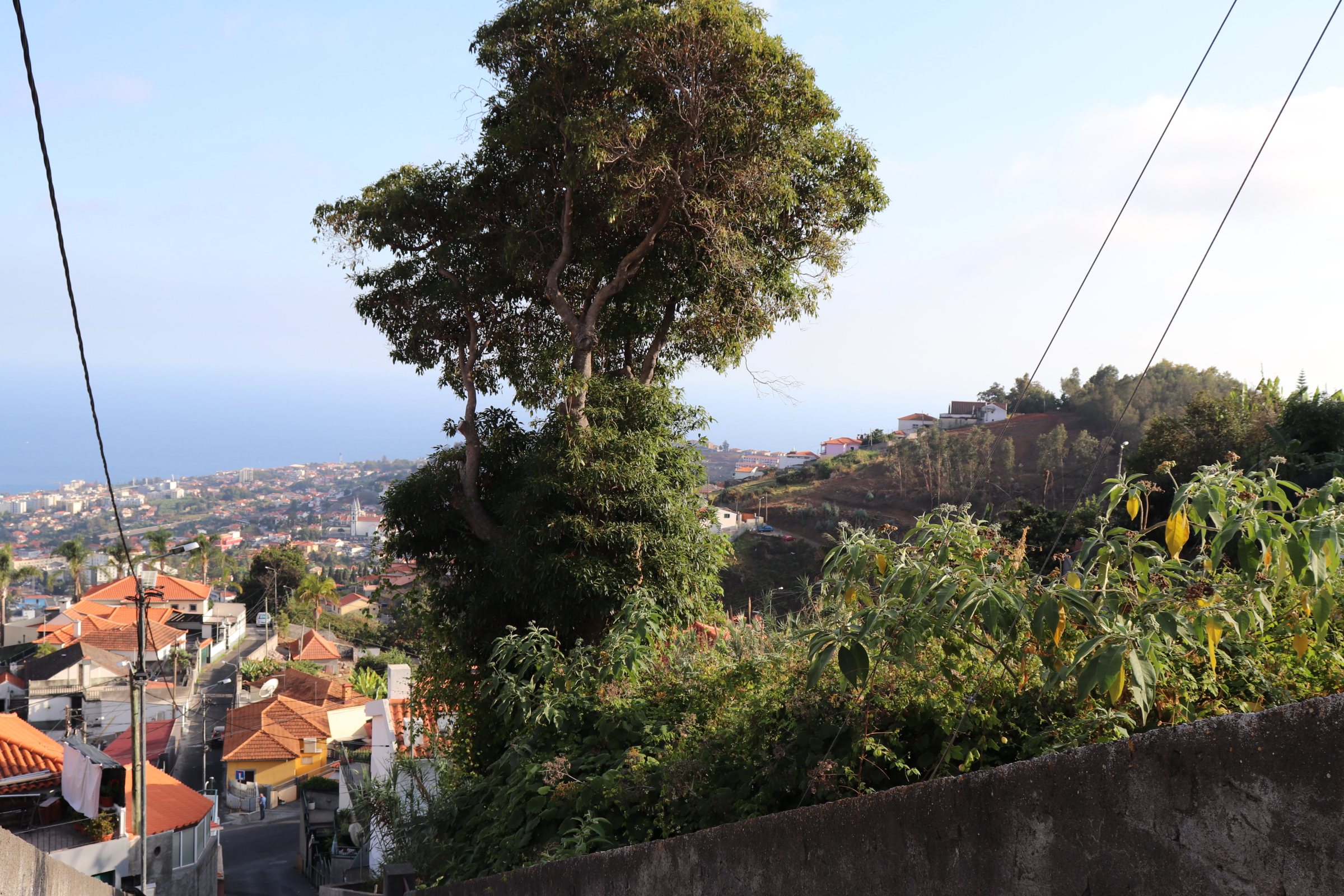 Piece of Real Estate