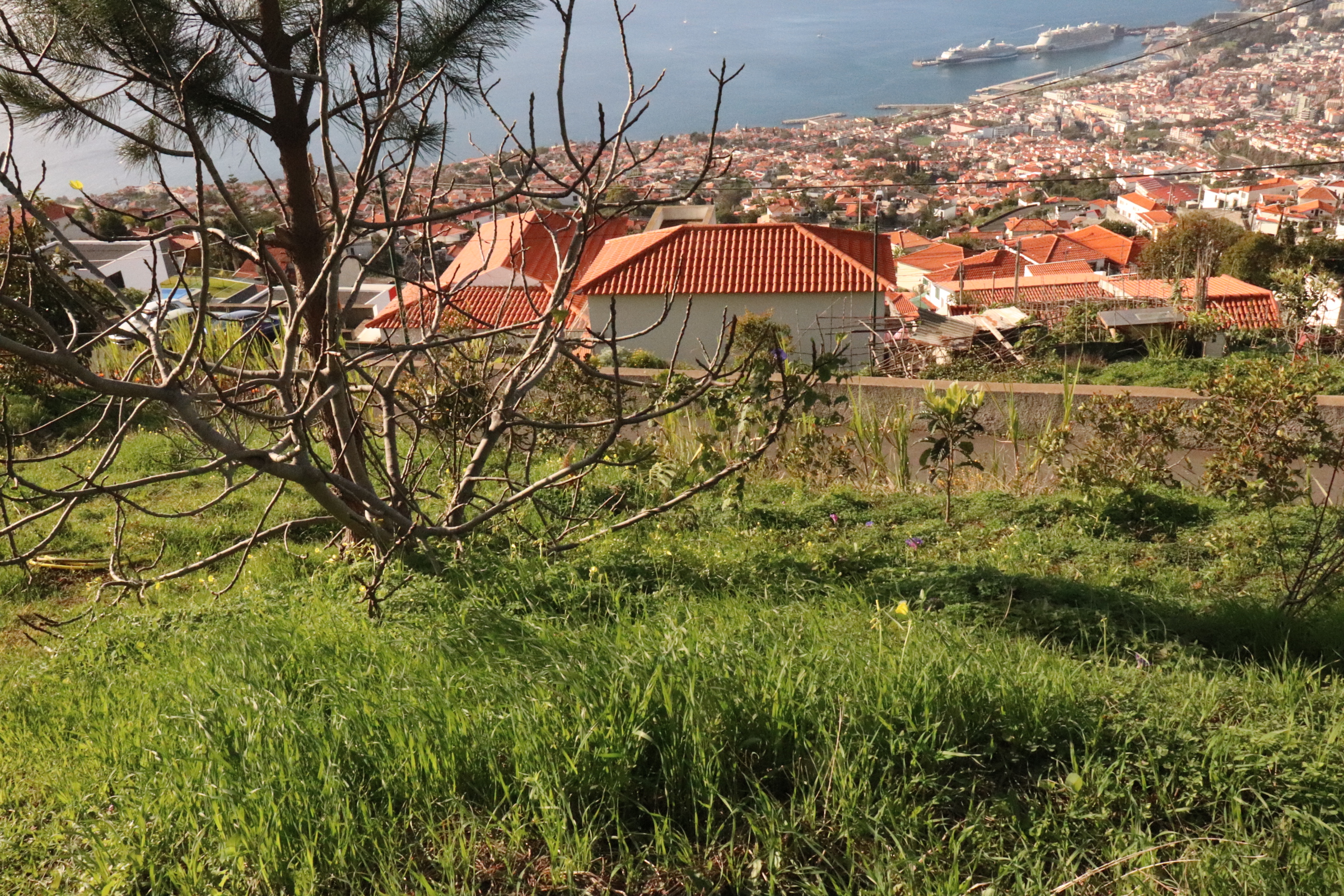 Lotissement de terrain