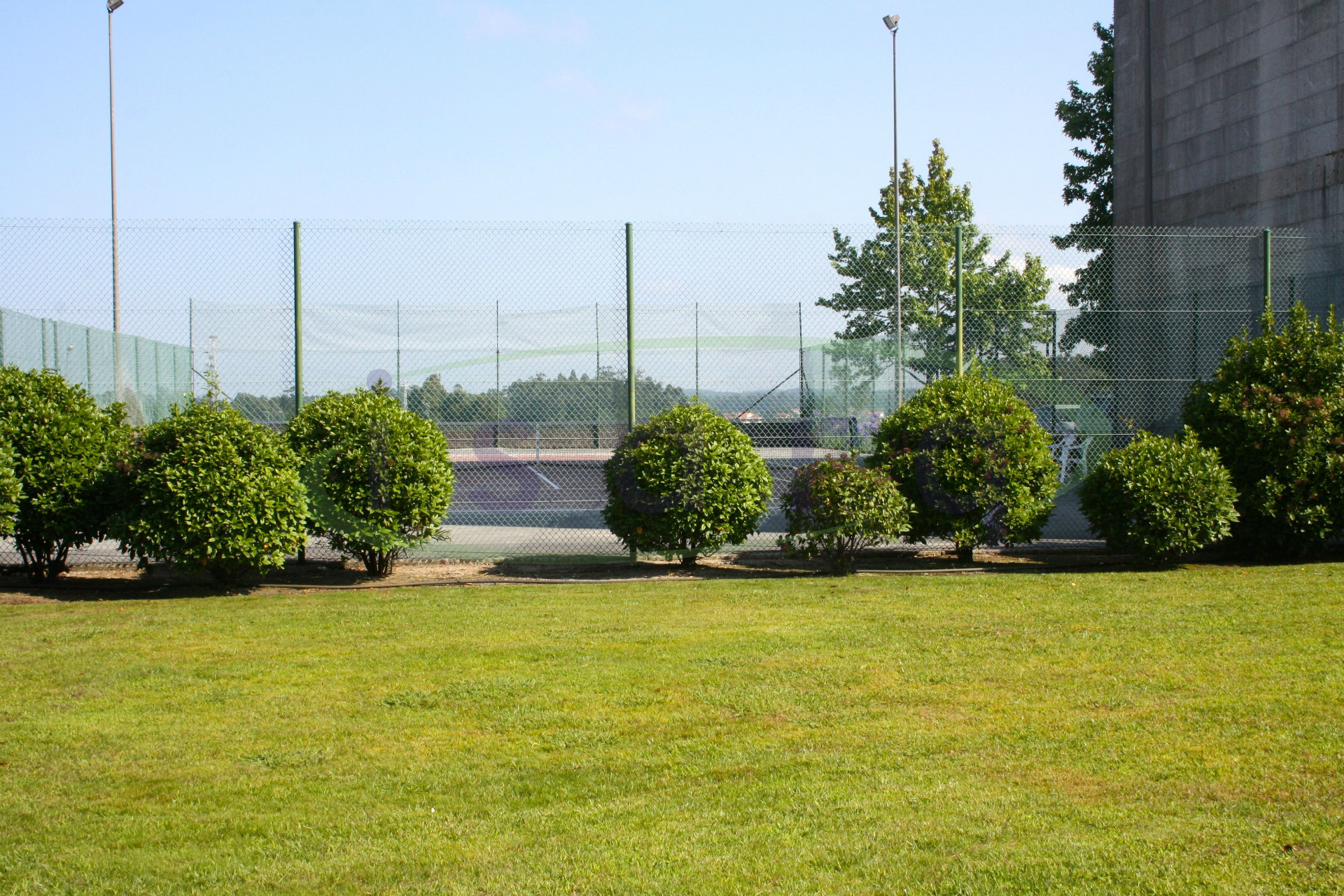 Tennis court