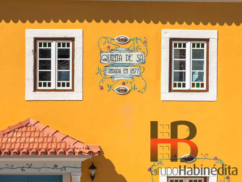 Magnifica Quinta nas Margens do rio Douro 