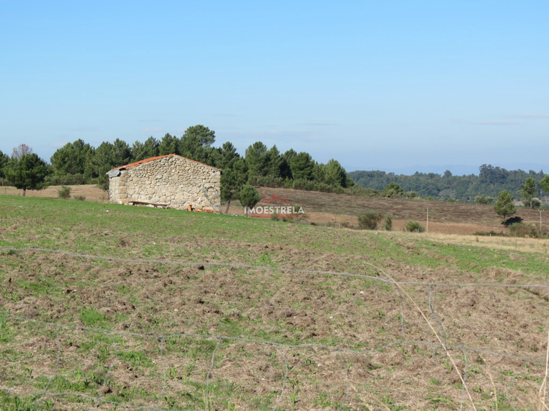 Quinta T5