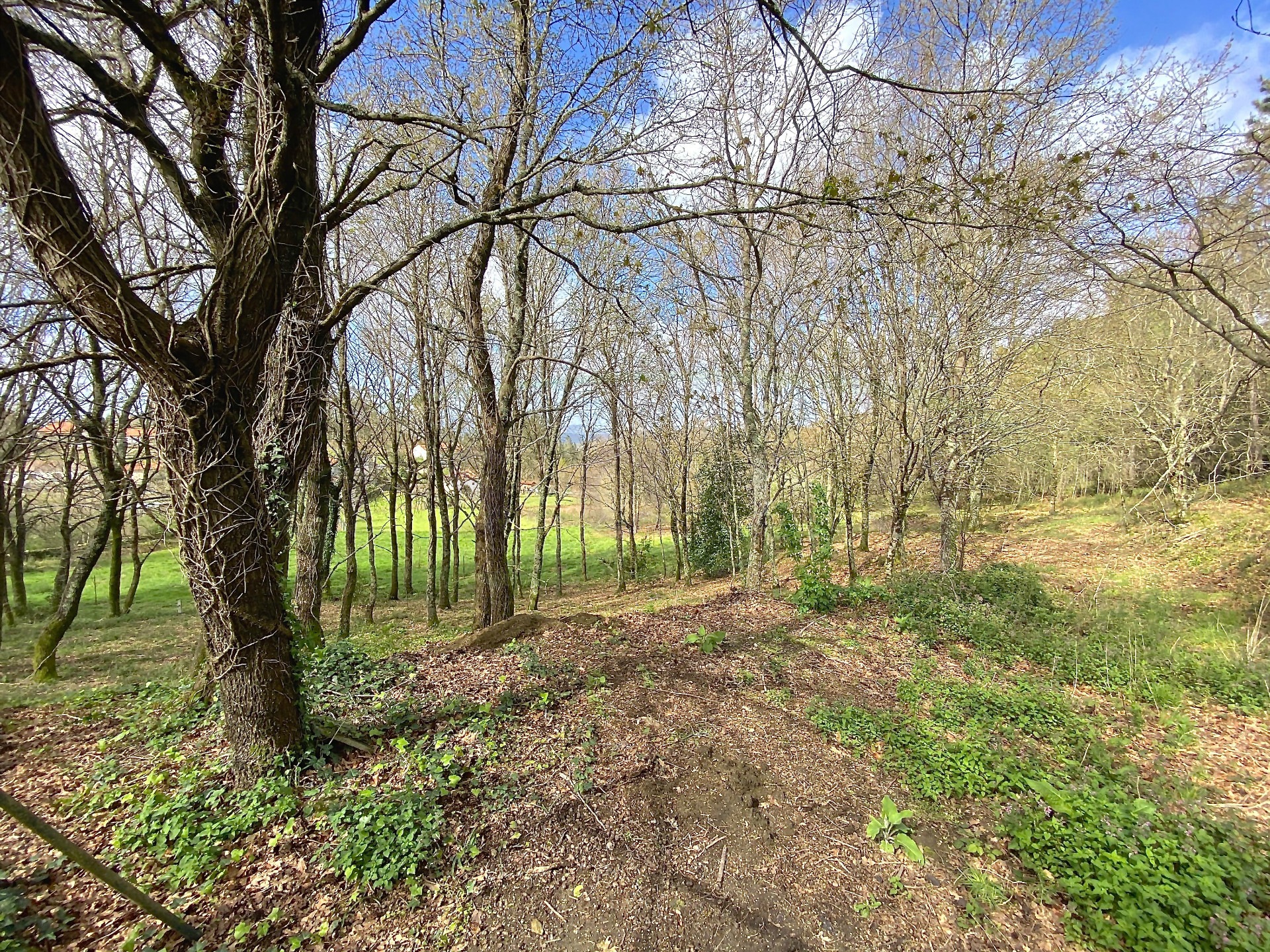 Rural Tourism Farm plot on the Caminho de Santiago