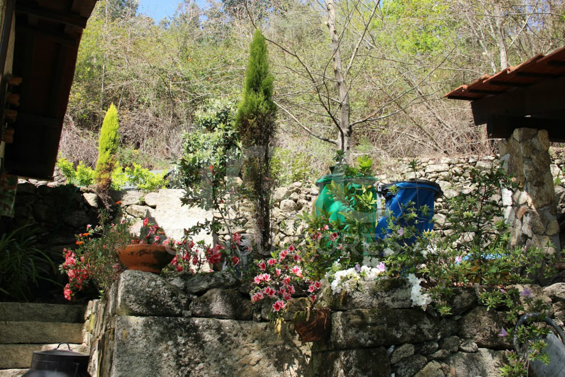 Quinta T3 em Couto Esteves para AL