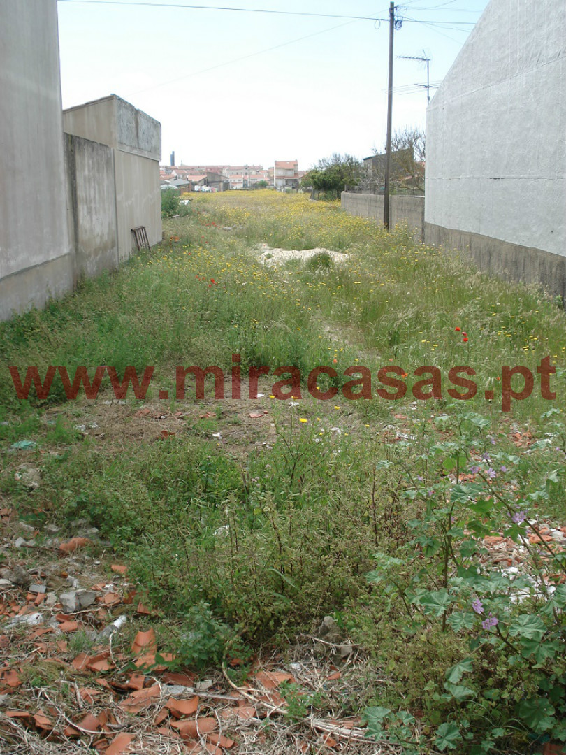 Lote de Terreno