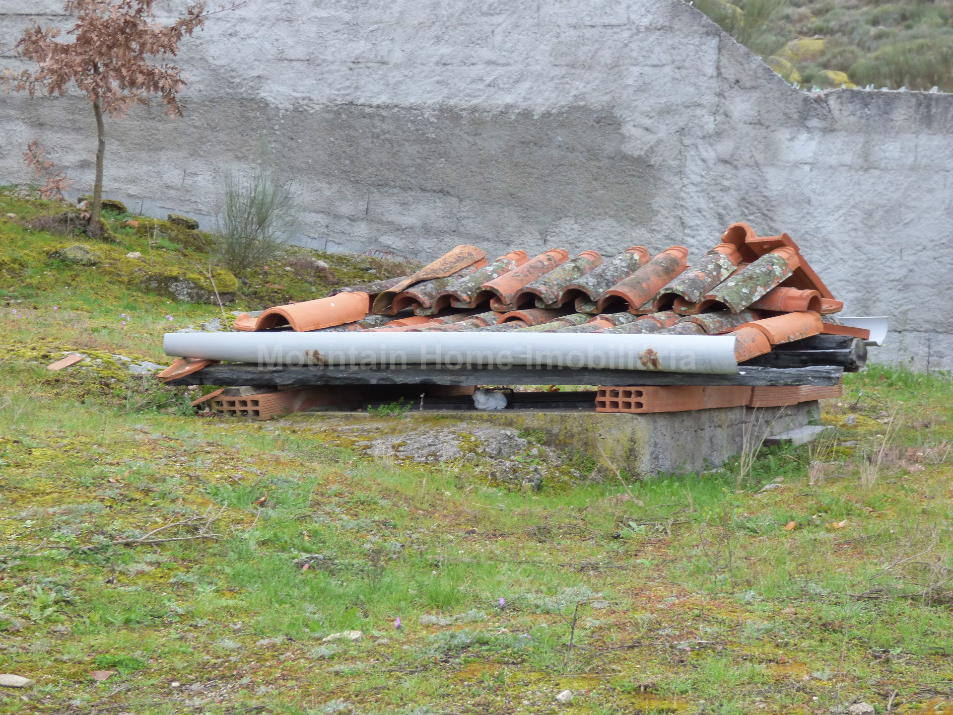 Landbesitz 5 Schlafzimmer