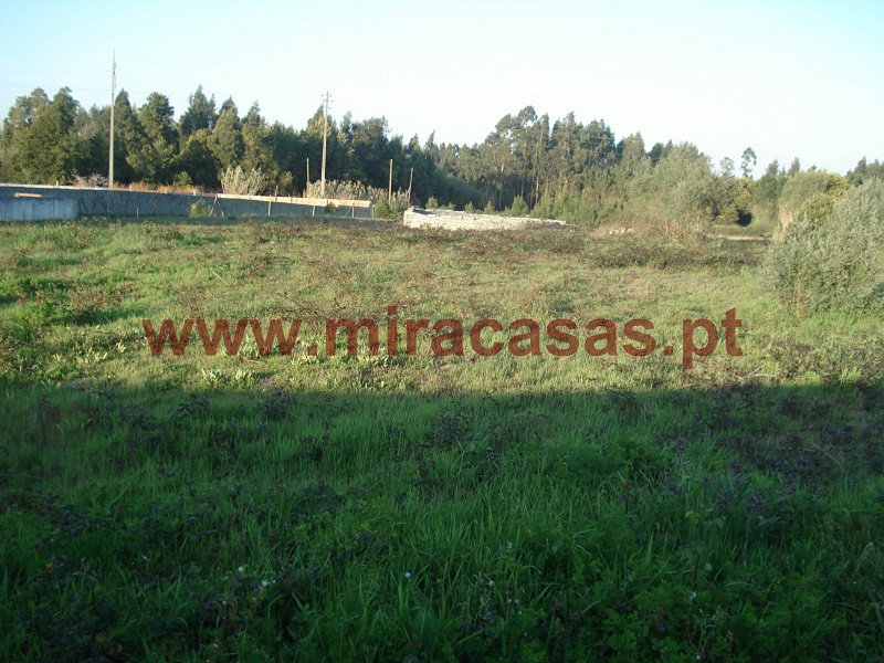 Terreno Para Construção