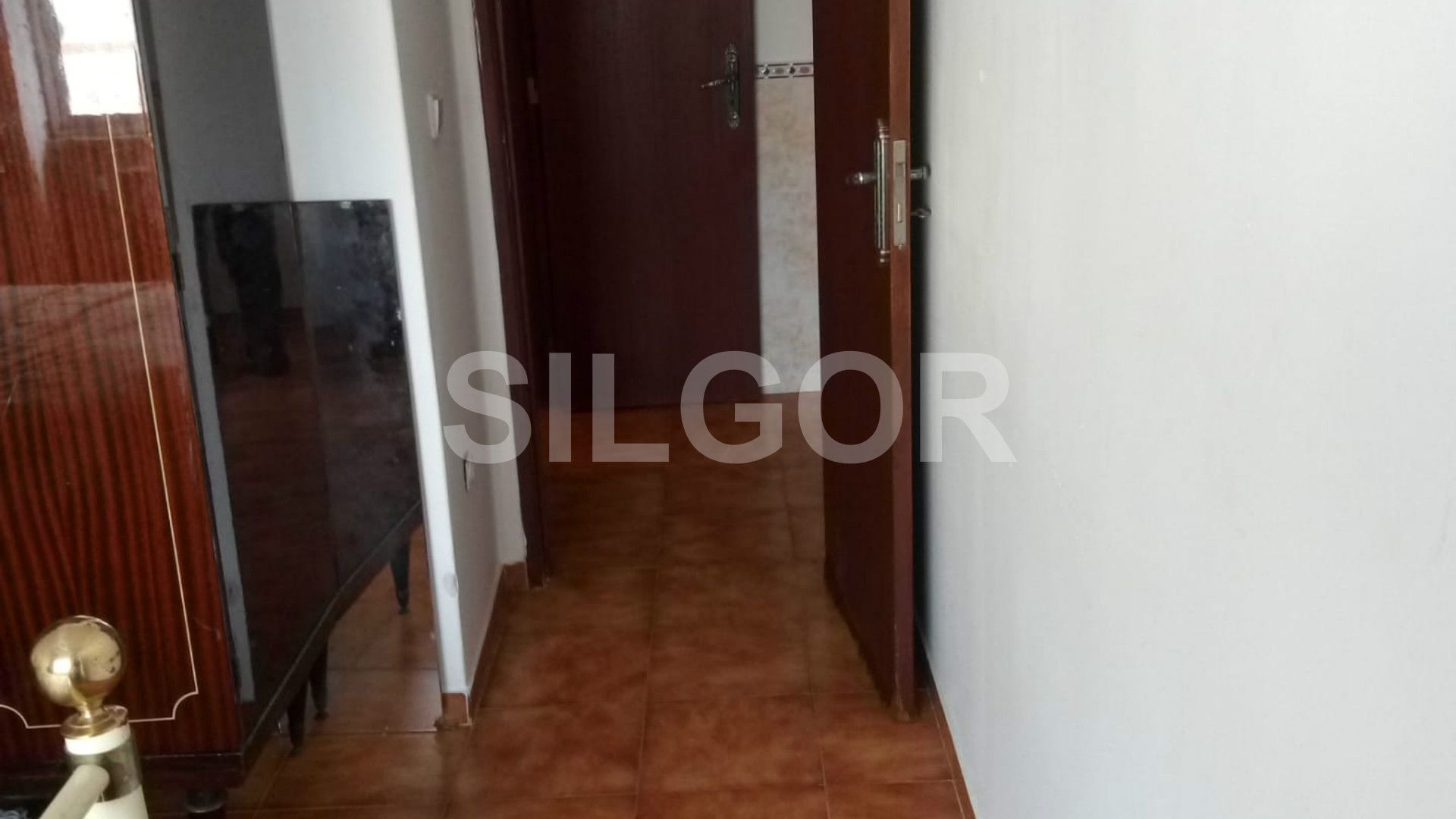 Appartement 1 Chambre(s)