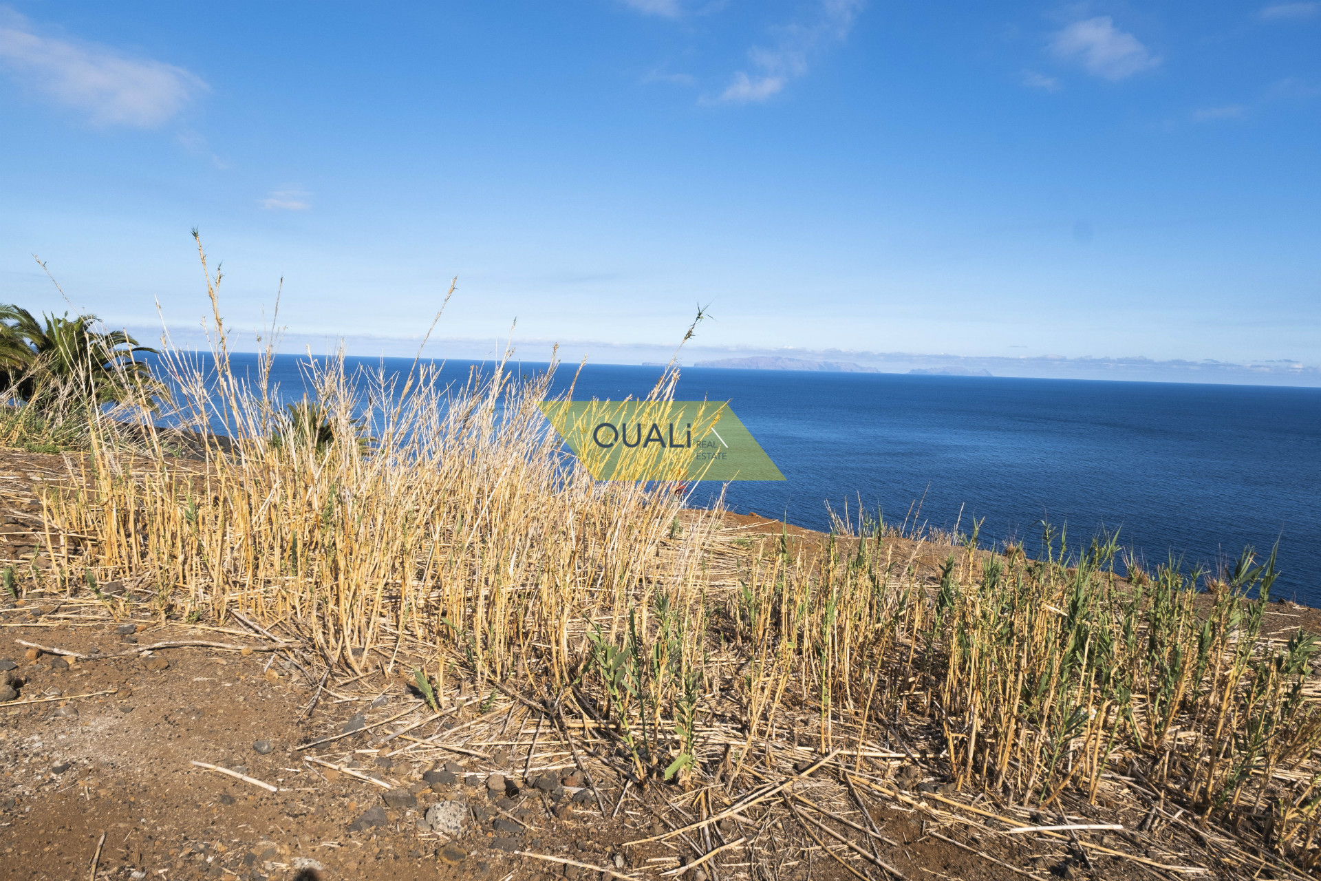 Terreno em Gaula - Ilha da Madeira - €395.000,00