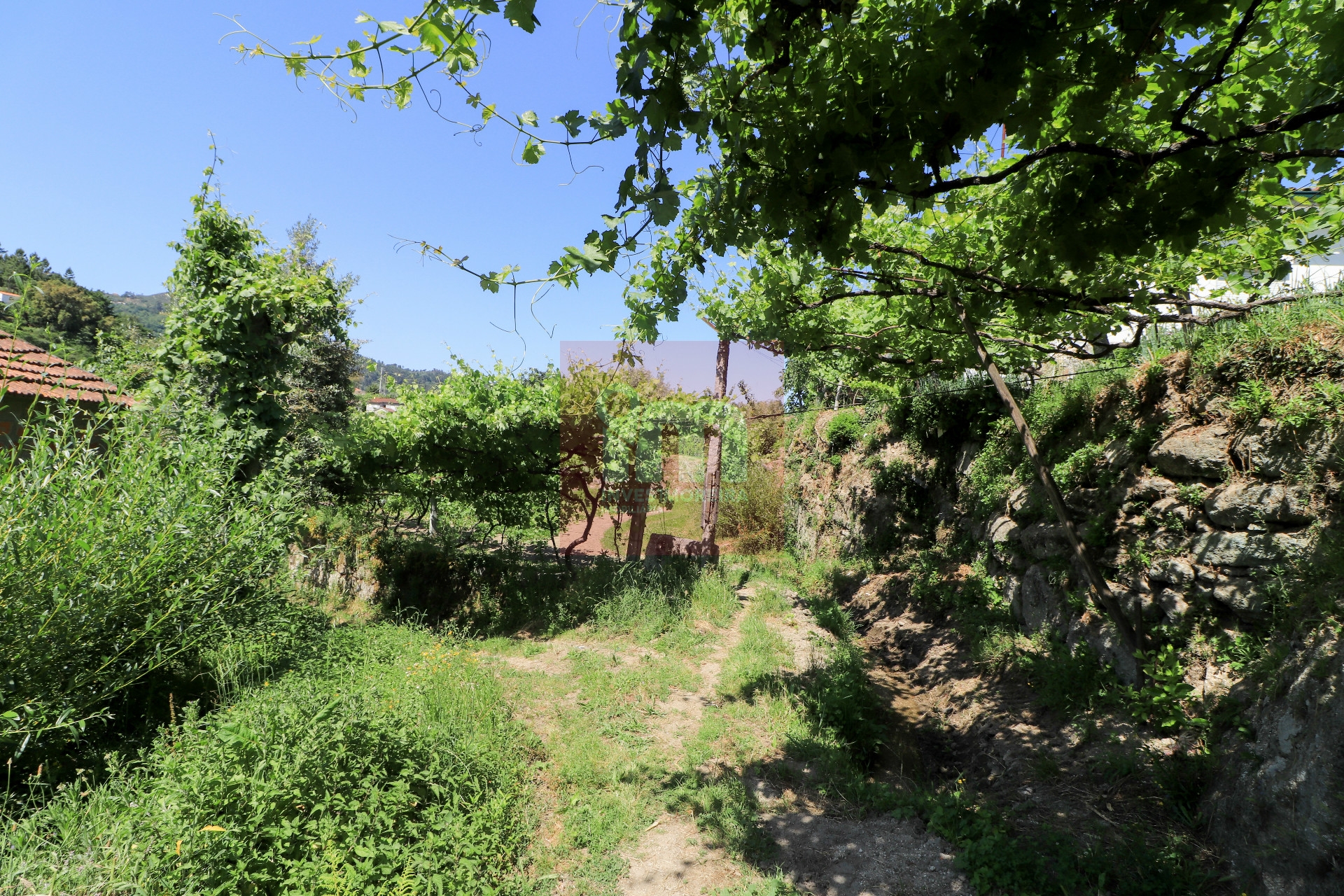 Herdade