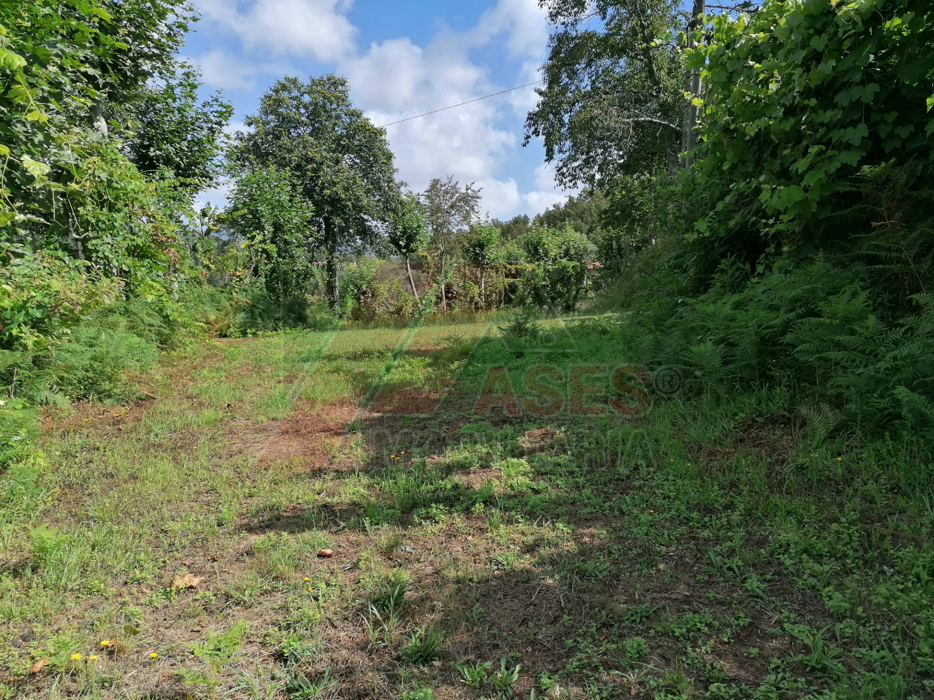 Terreno Para Construcción