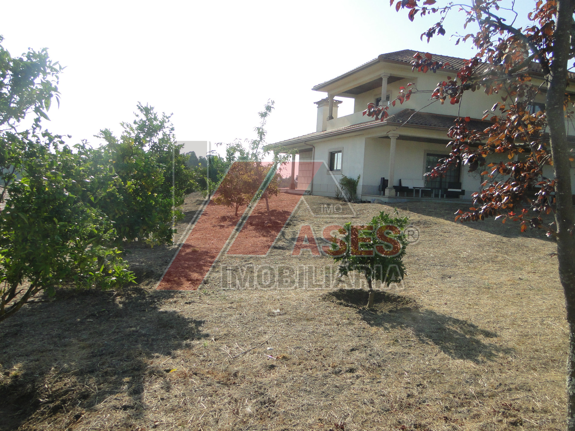 Abitazione 5 Vani +1