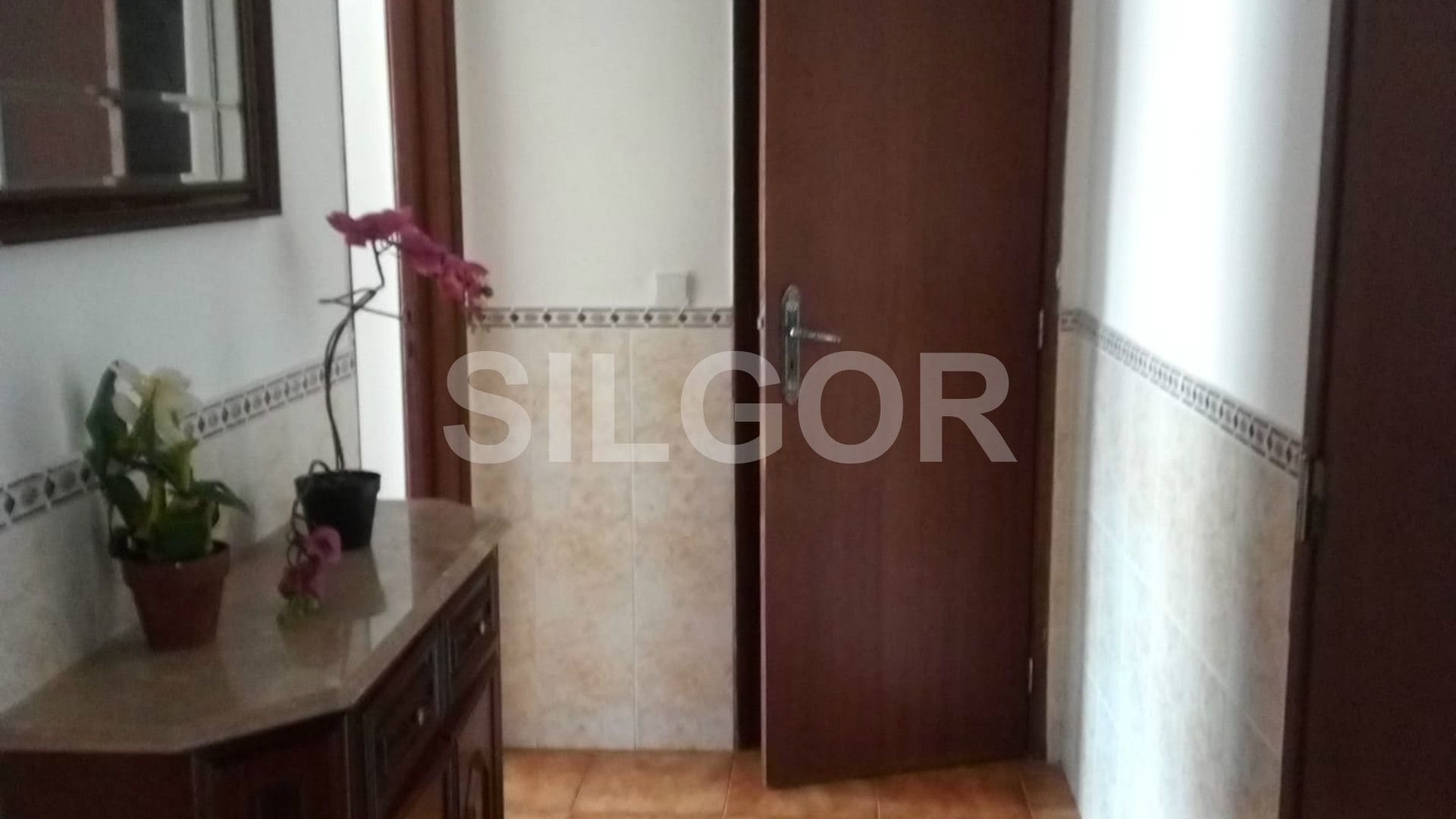Appartement 1 Chambre(s)