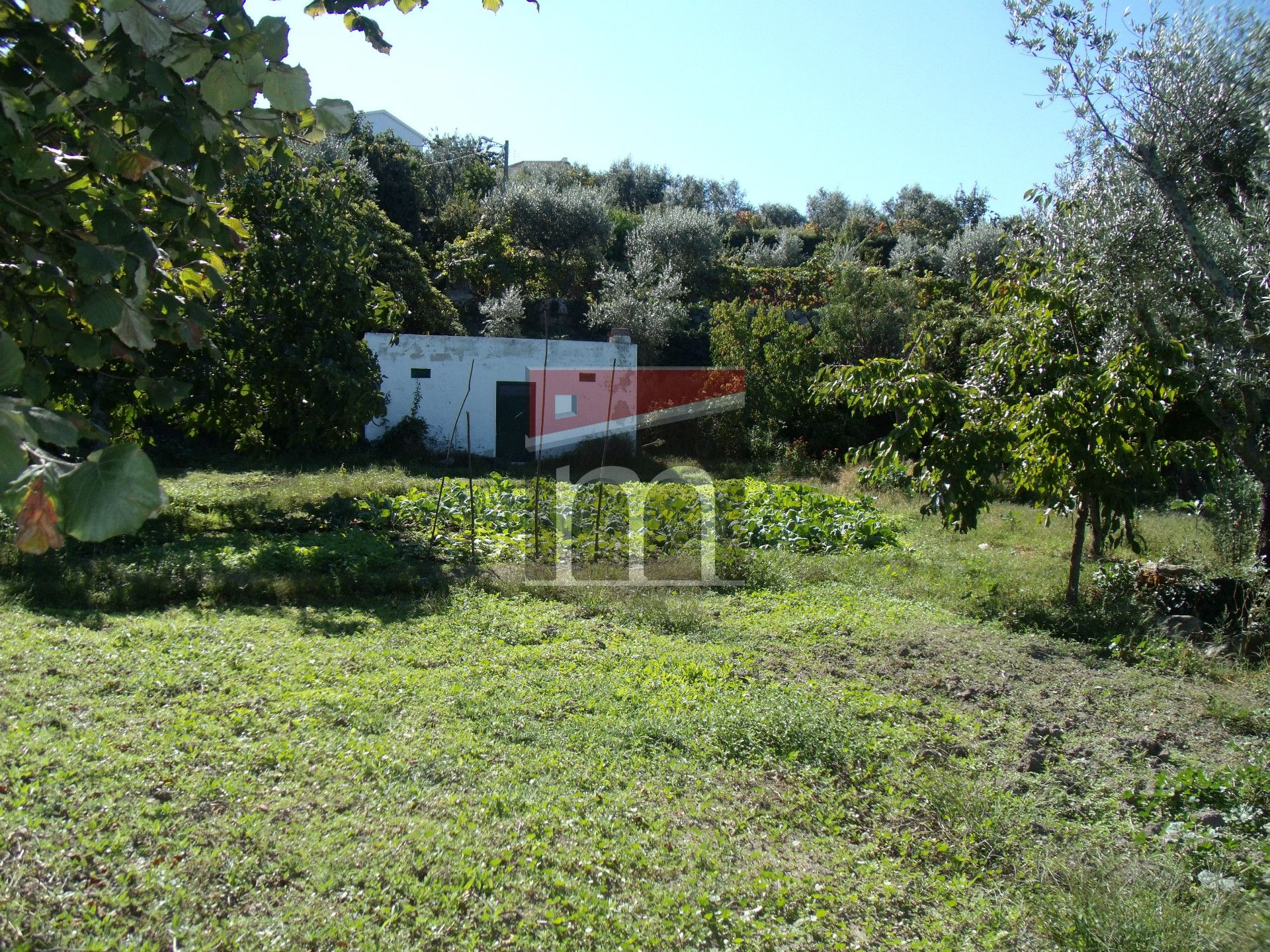 Terreno Para Construção