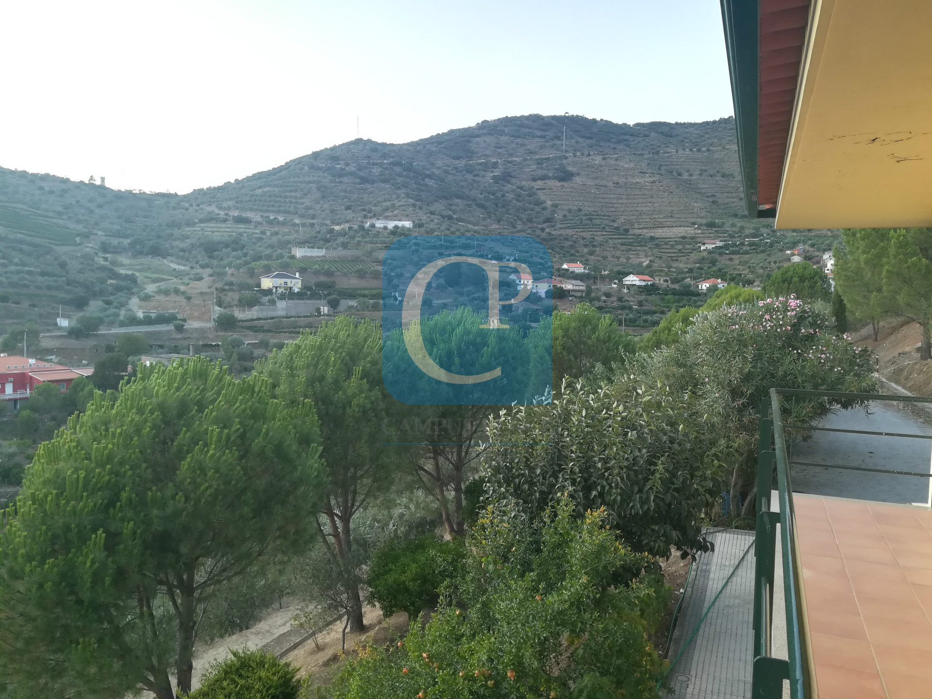 Quinta no Alto Douro Vinhateiro