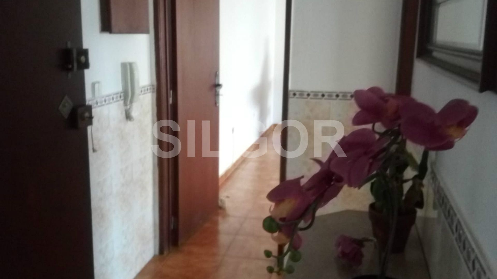 Appartement 1 Chambre(s)
