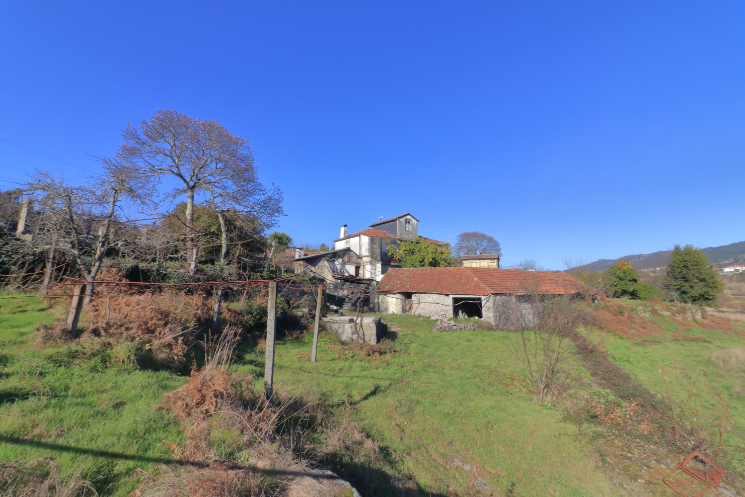 Quinta T5