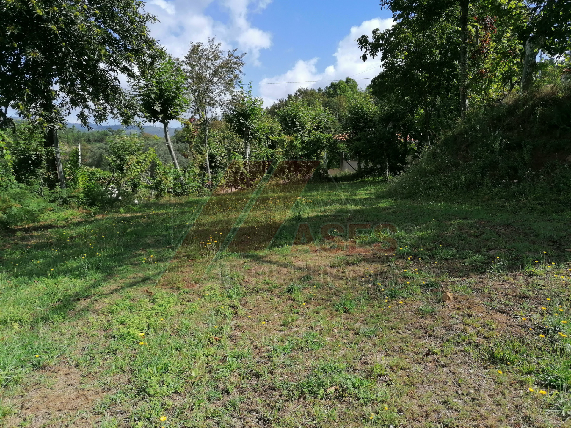 Terreno Para Construcción