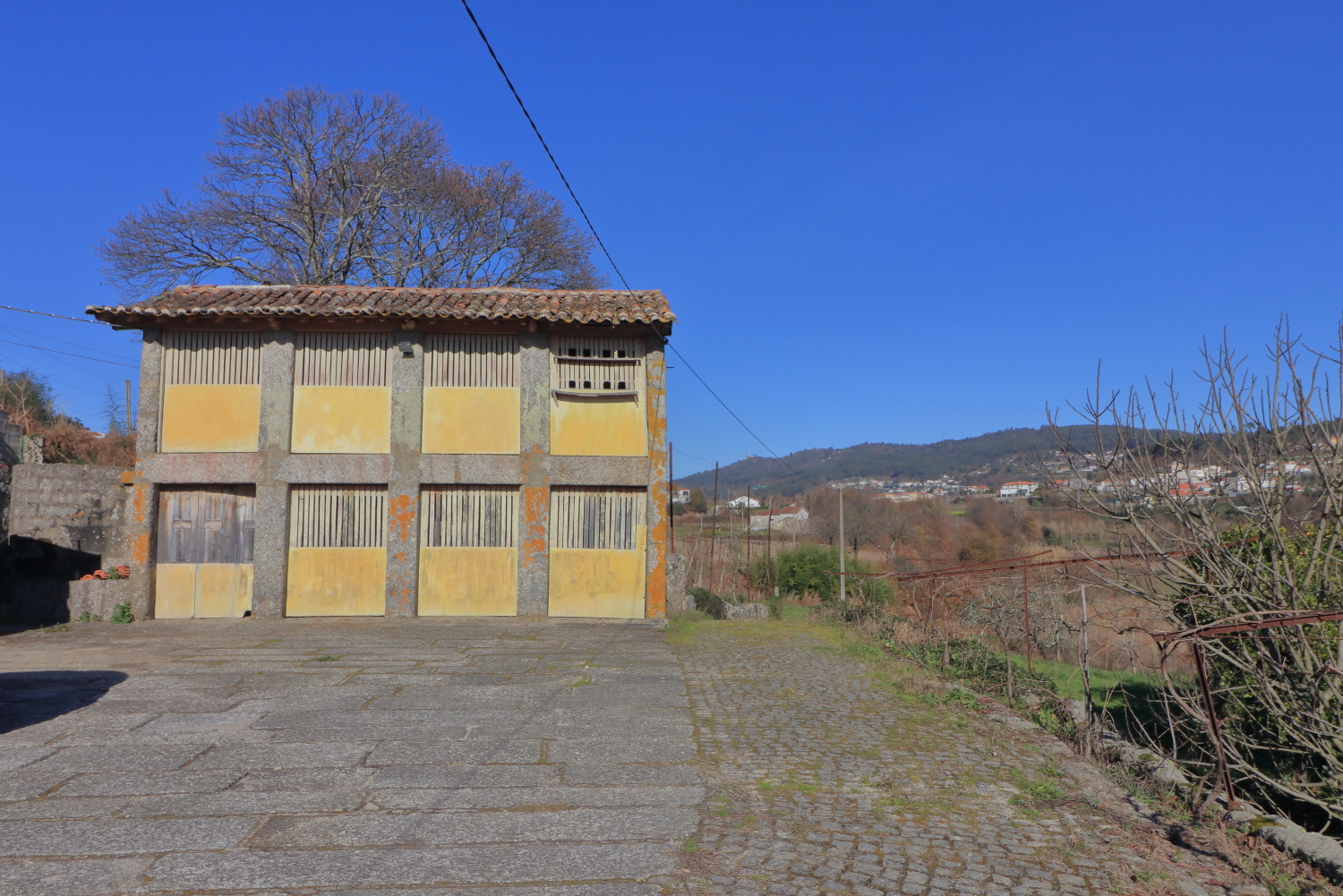 Quinta T5